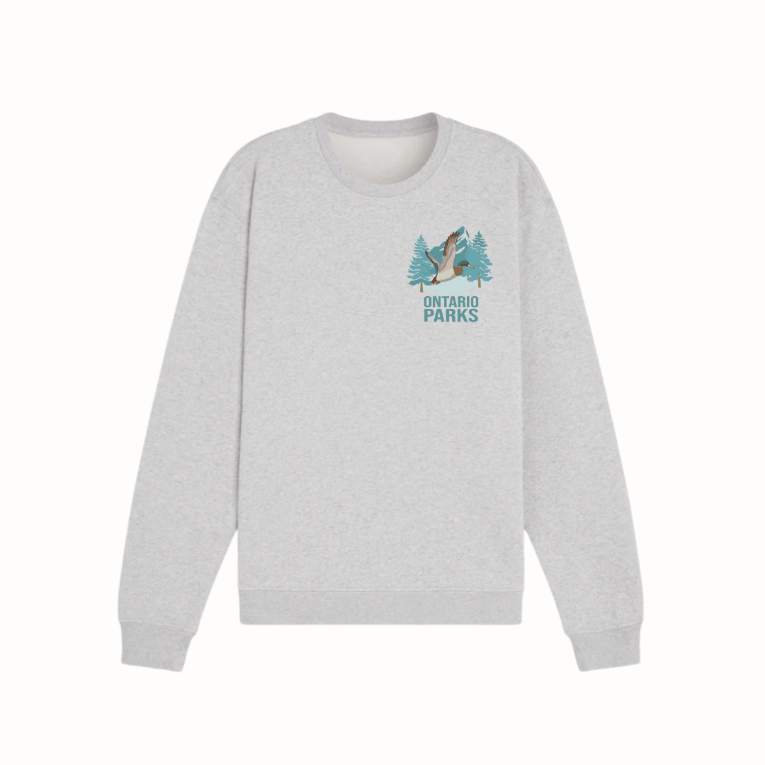 Online apparel (6).png