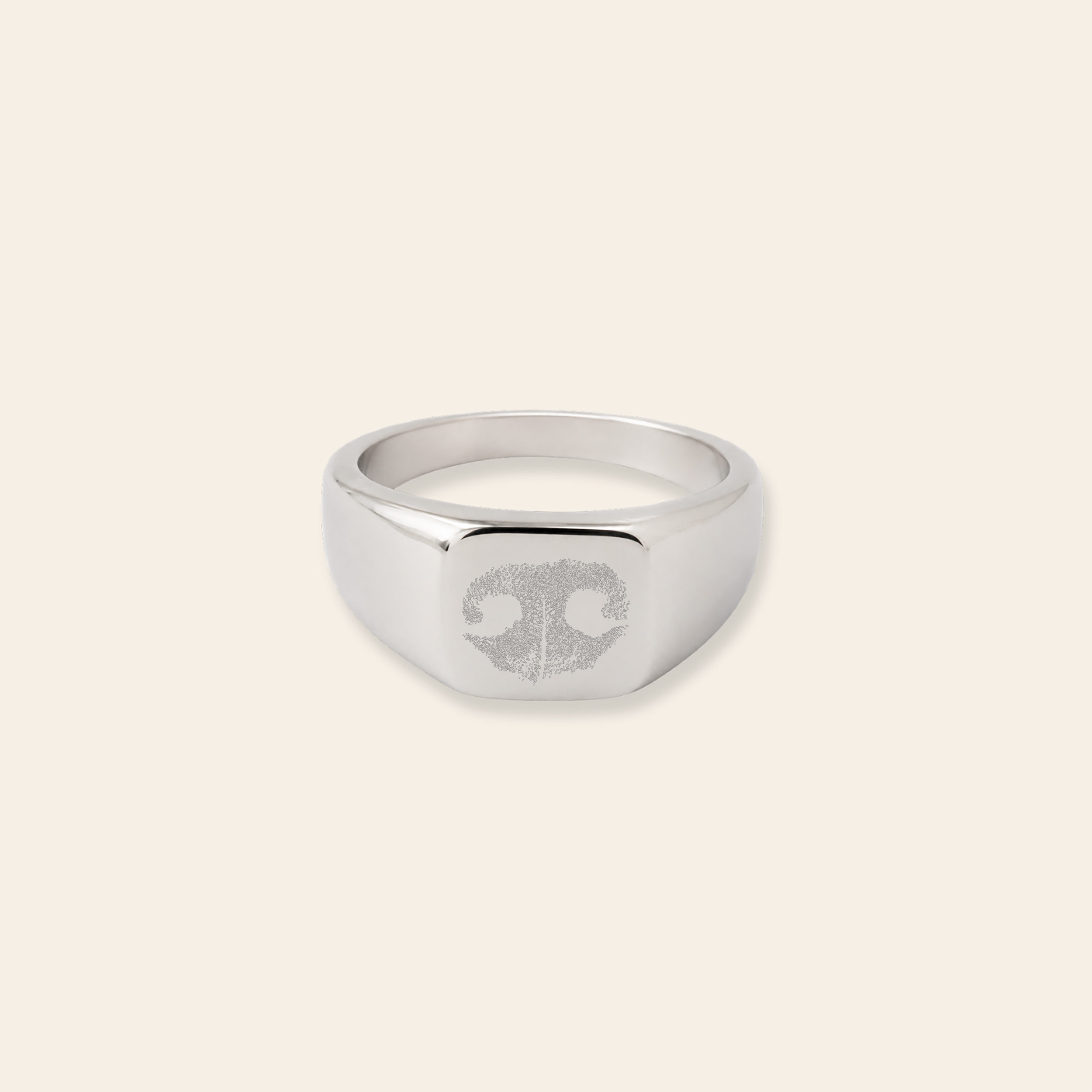 nose signet ring.png