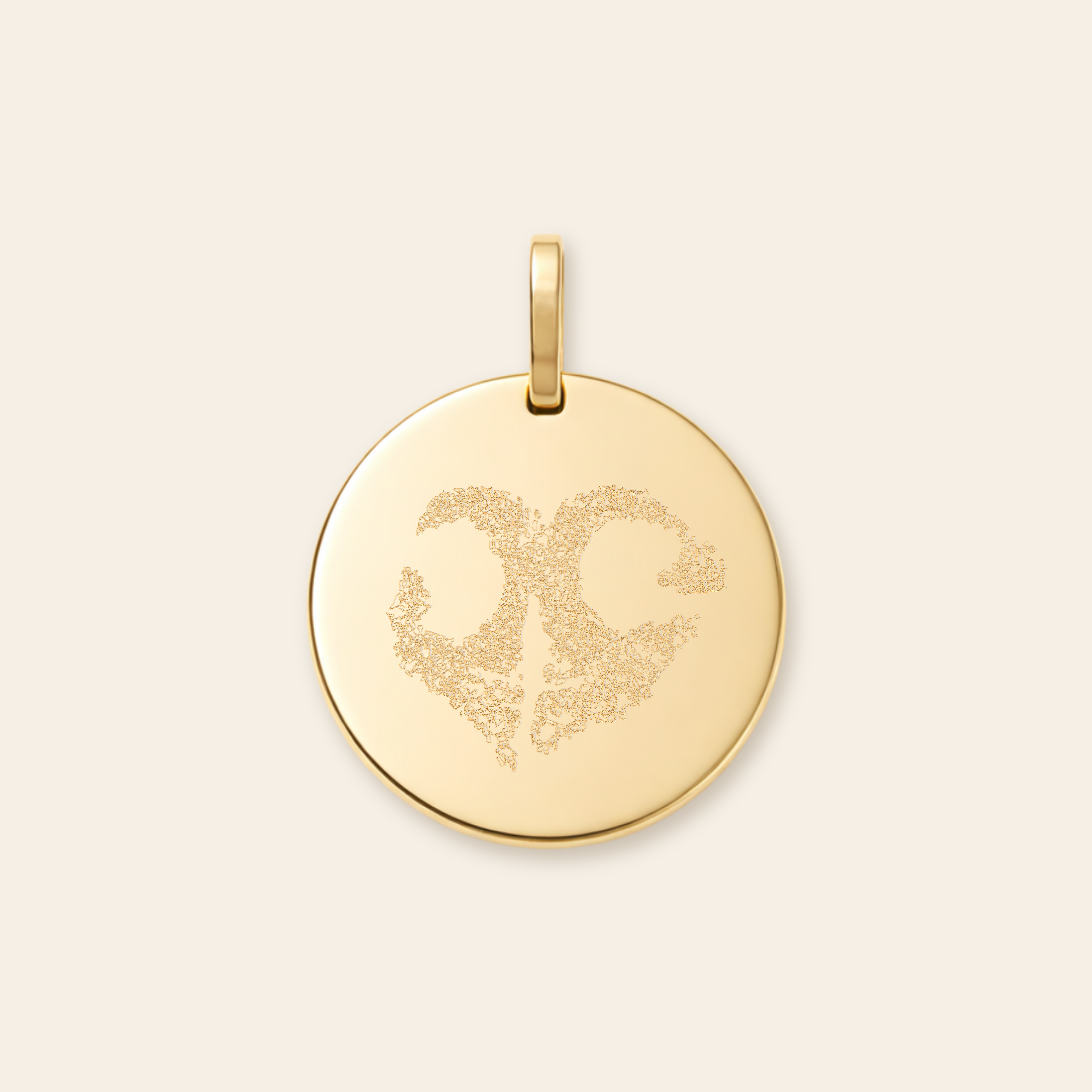 15mm SG nose.png