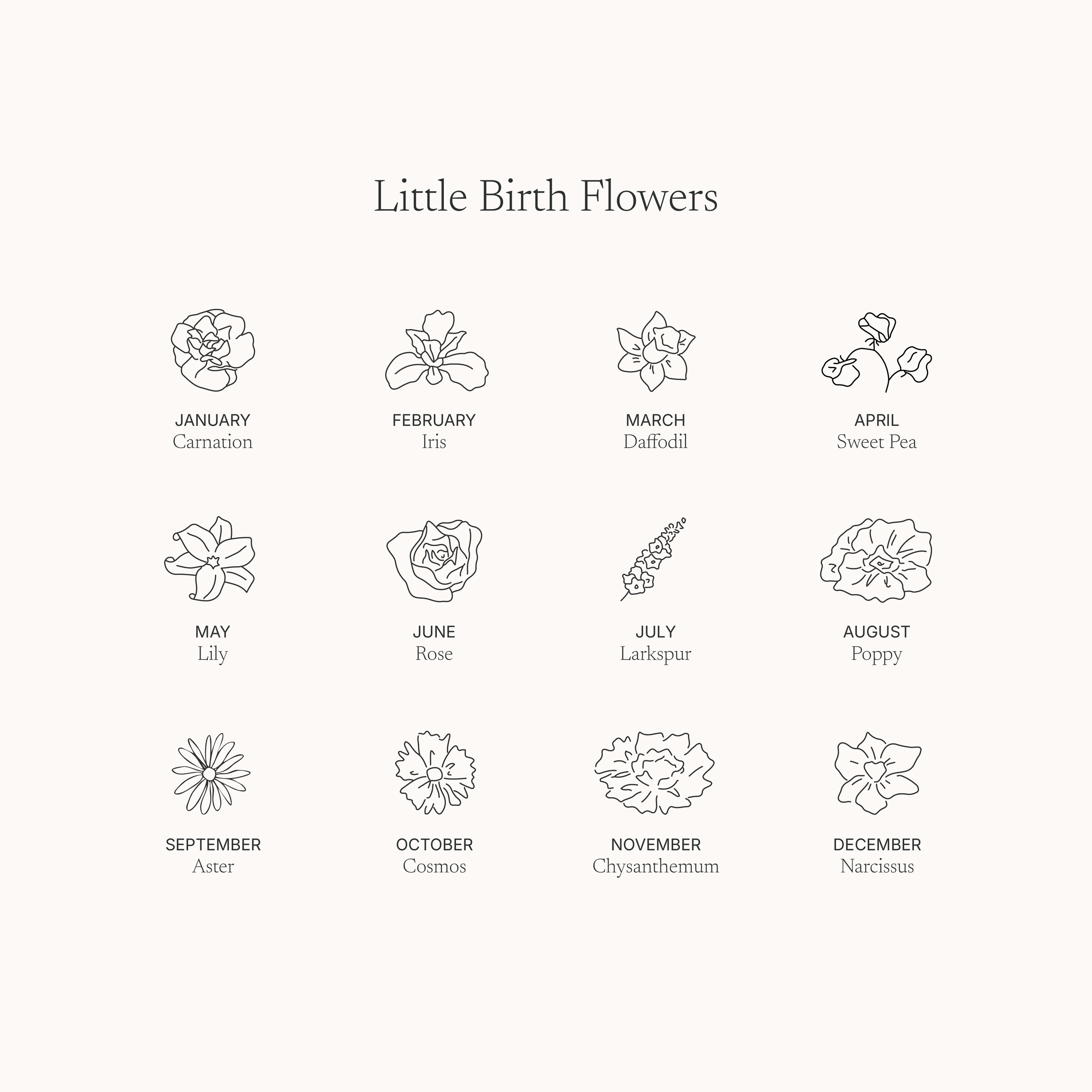 Little Birth Flowers-13.png