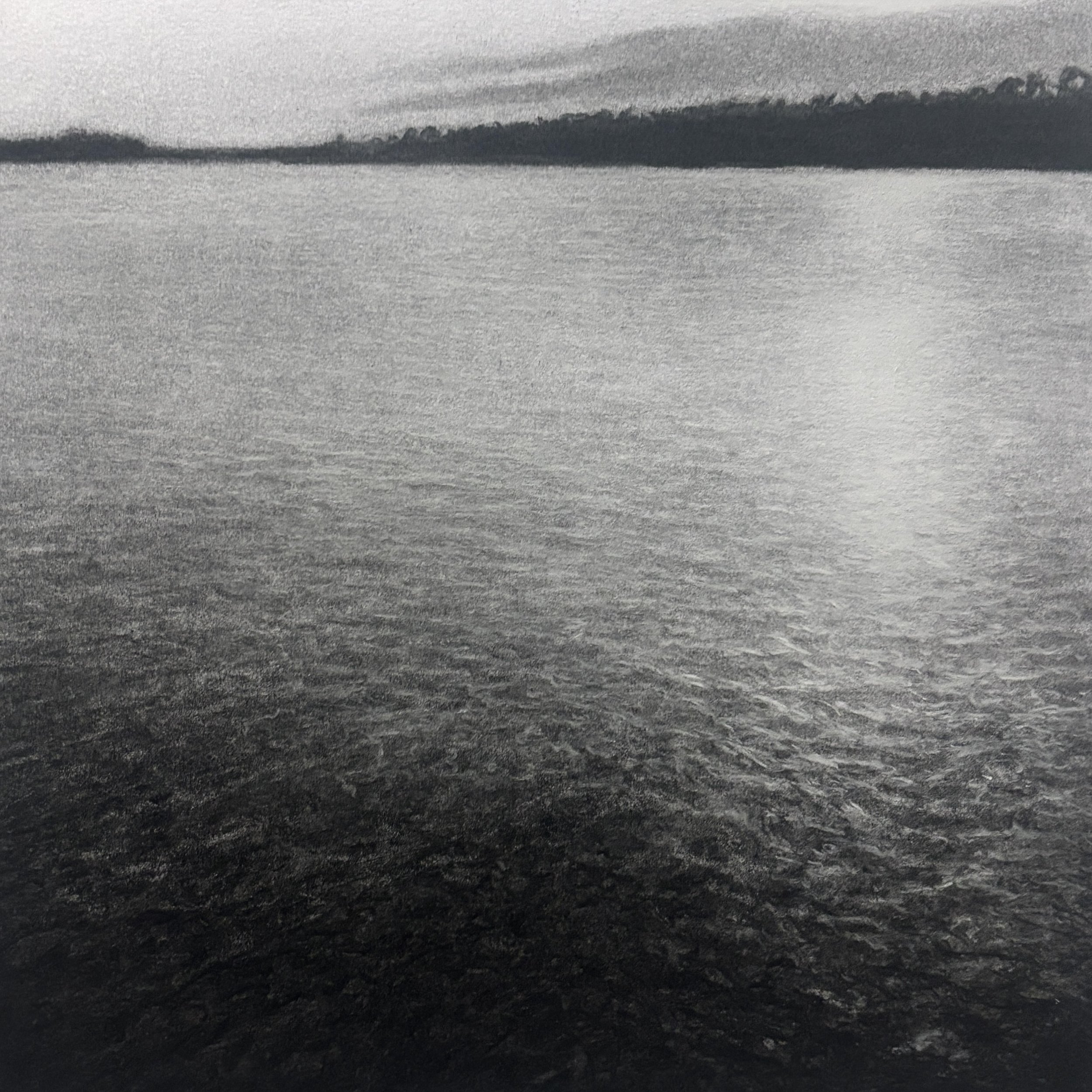 Charcoal study, 2024