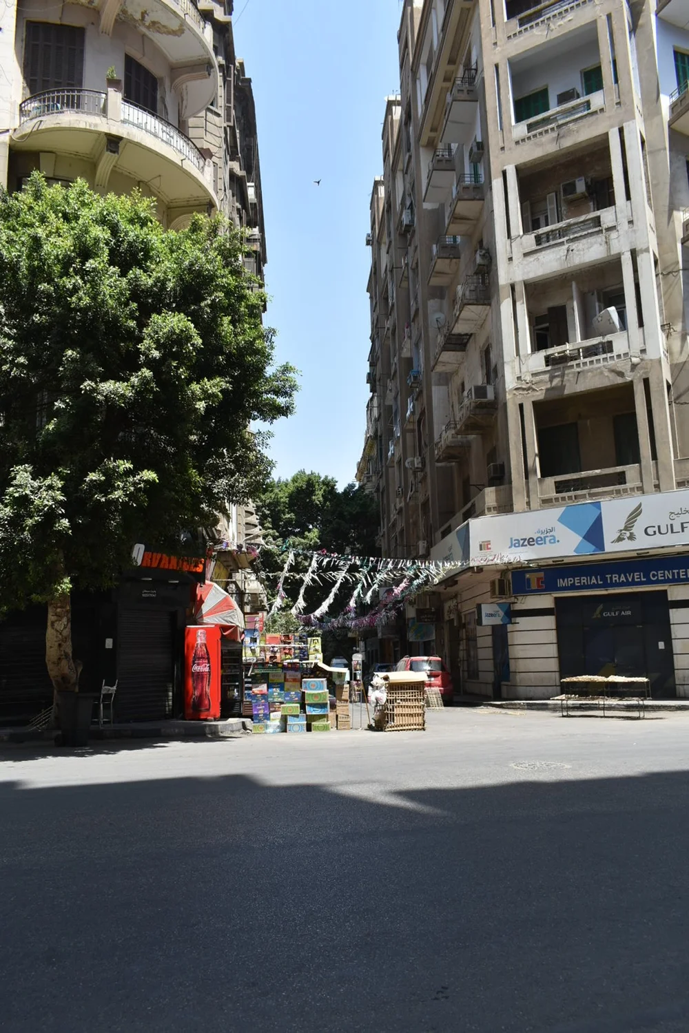 DSC_0290.jpeg
