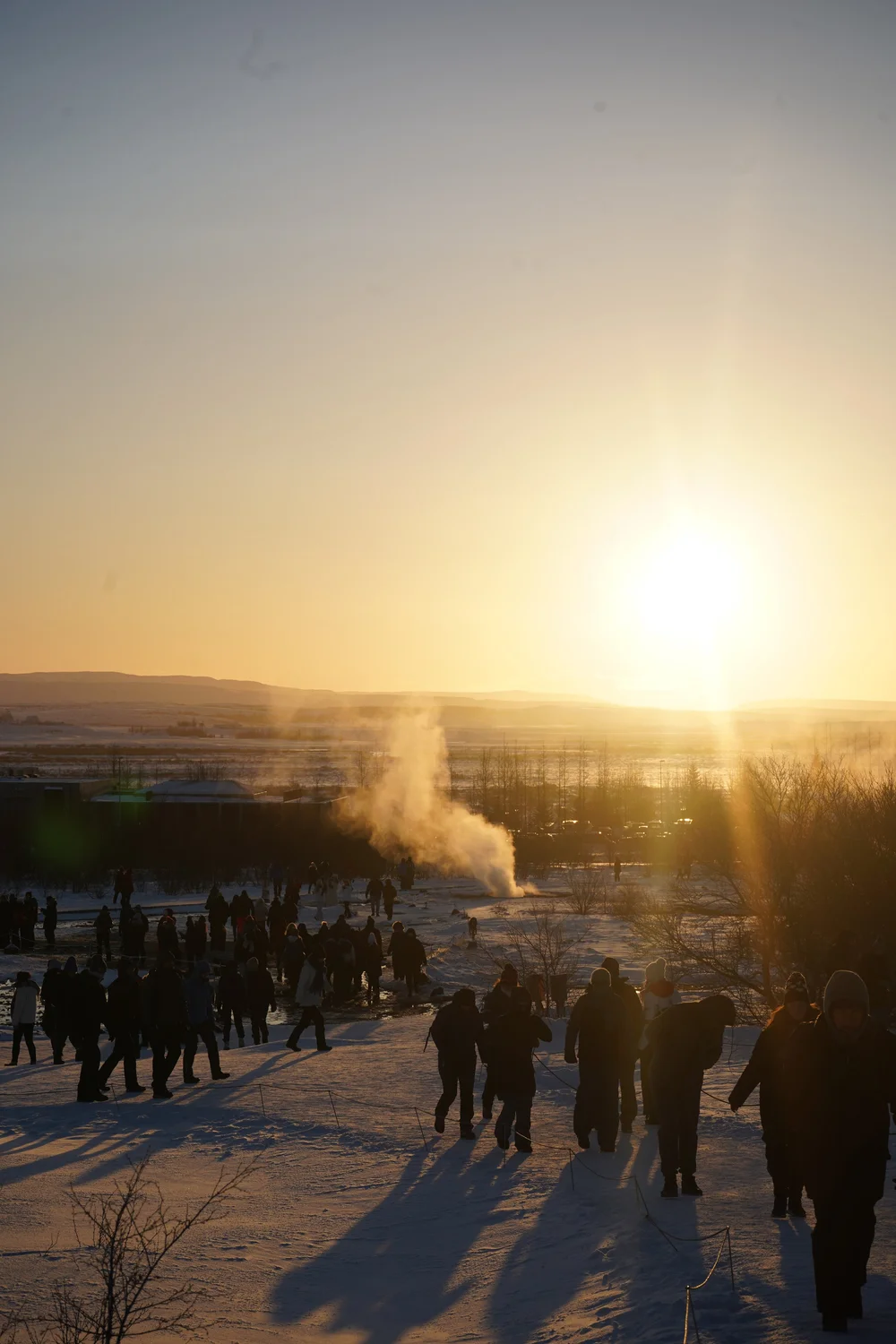 3F90167F-1F28-4B1C-B790-0677C0627933.jpeg