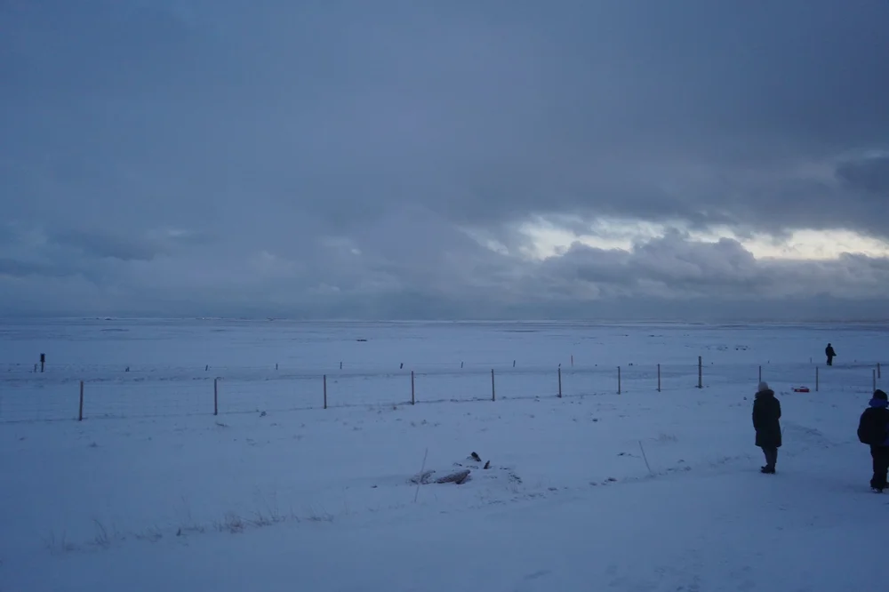 D55FDF21-1A2E-44A3-866A-455A1D5512AA.jpeg