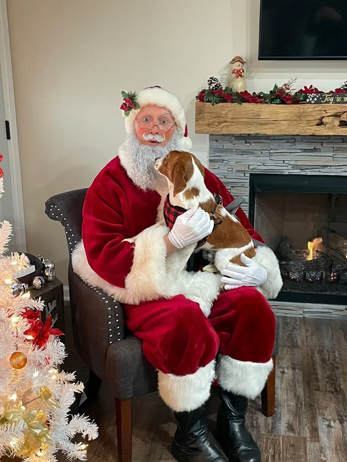 Santa Curtis Gallery Pic 32.png