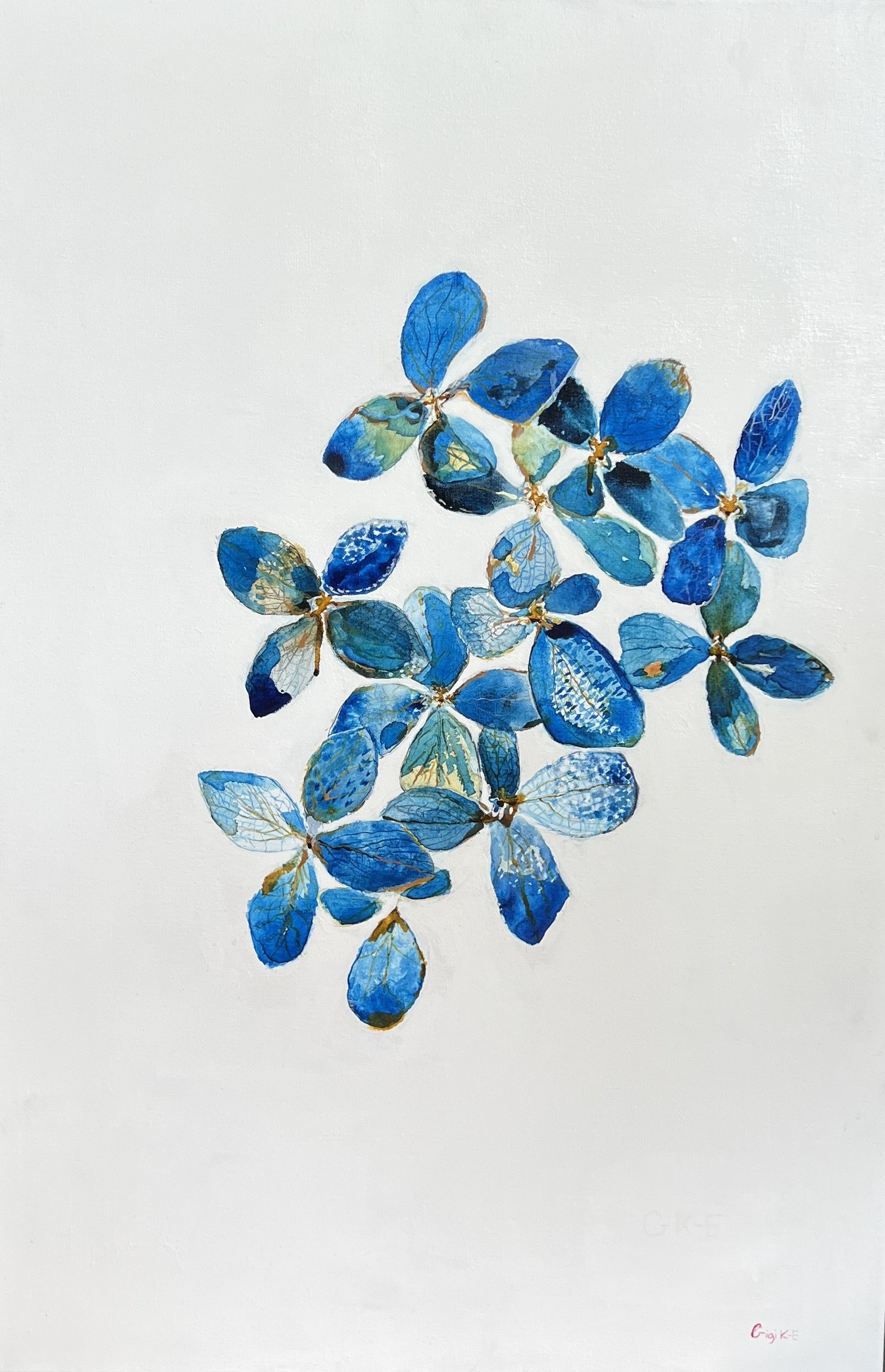 Hydrangea Blue Petals, 2022, Acrylic on Canvas, 24 X 36 in