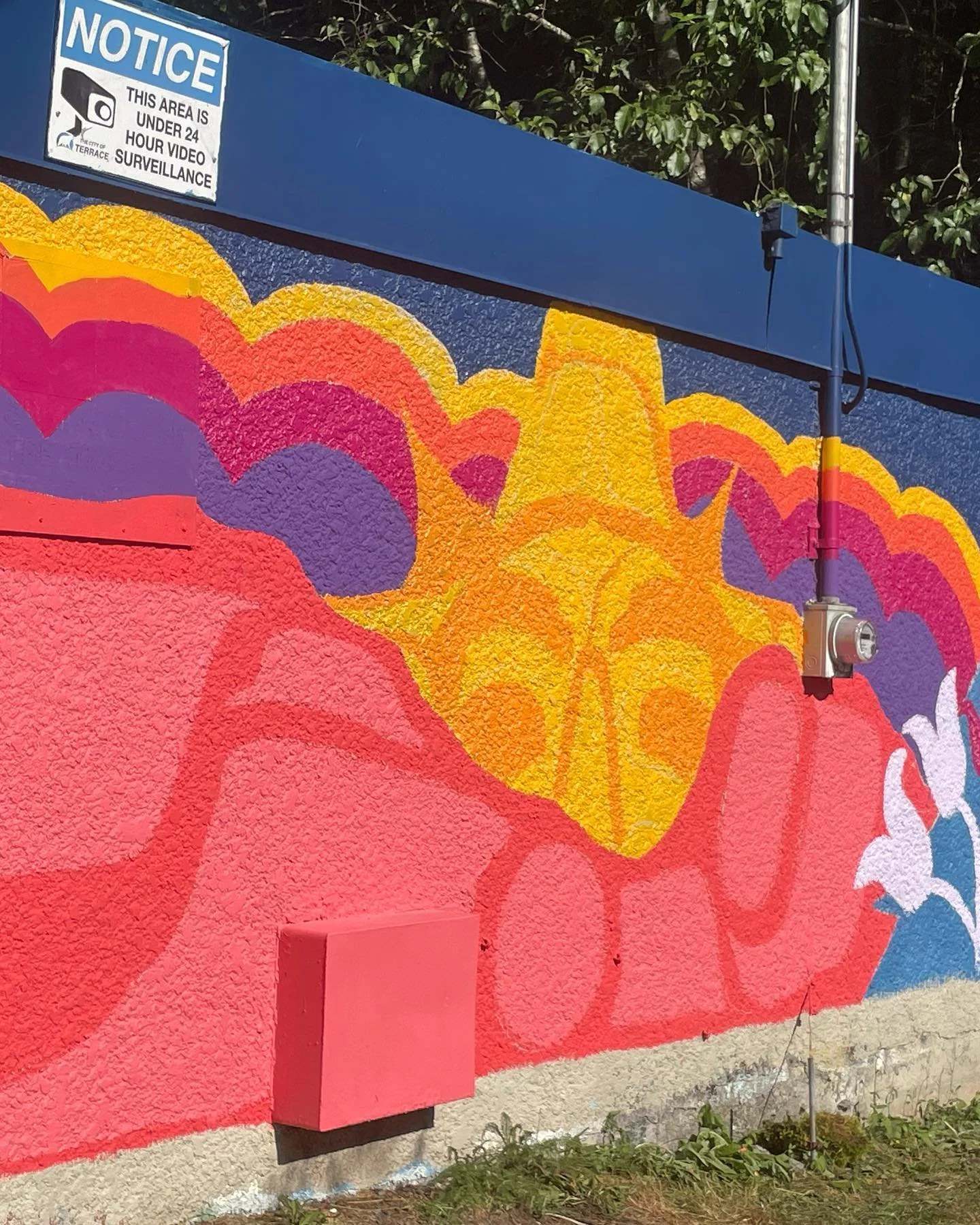 Day 2! 

The heat got us beat, stay hydrated everyone!