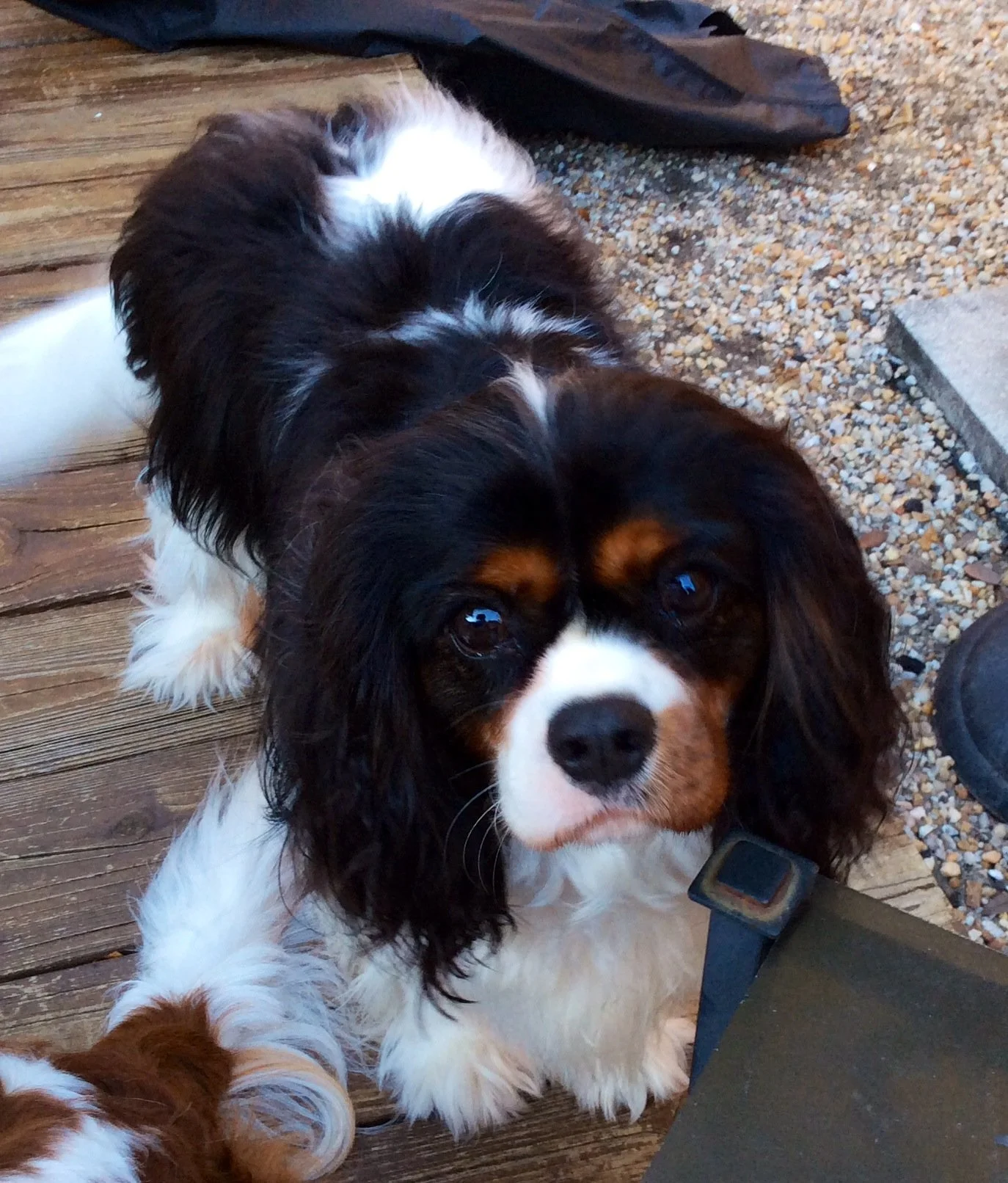 Quando os "Maus Tratos" Se Tornam Nossa Desculpa