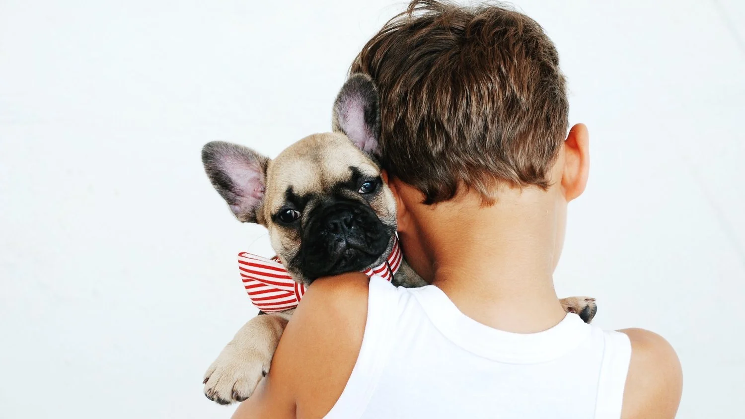 O Cachorro de Hoje é a Criança que Nunca Foi Contrariada