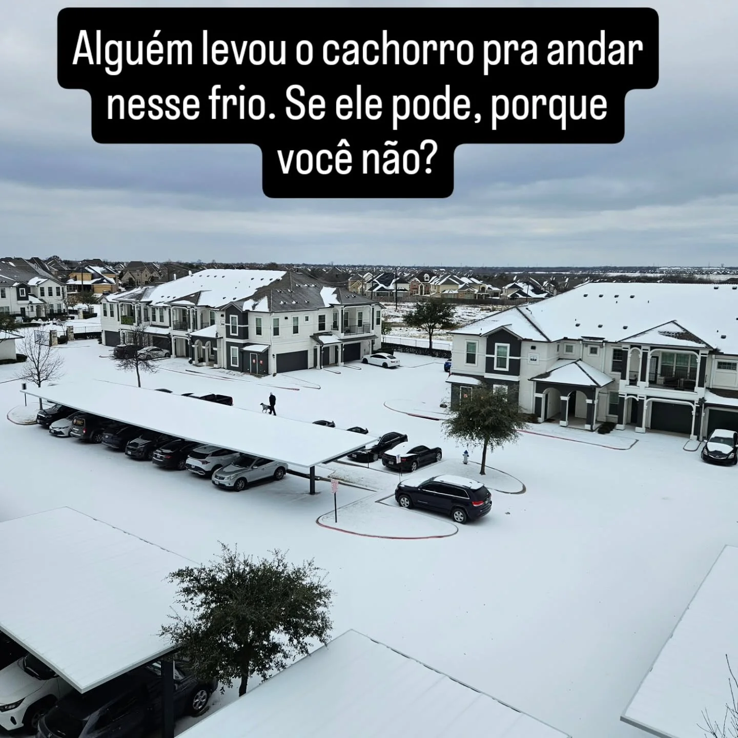 Em meio a nossa tempestade de inverno (temperatura de -11 graus) um dono levou seu cachorro pra caminhar. Quem quer, faz!