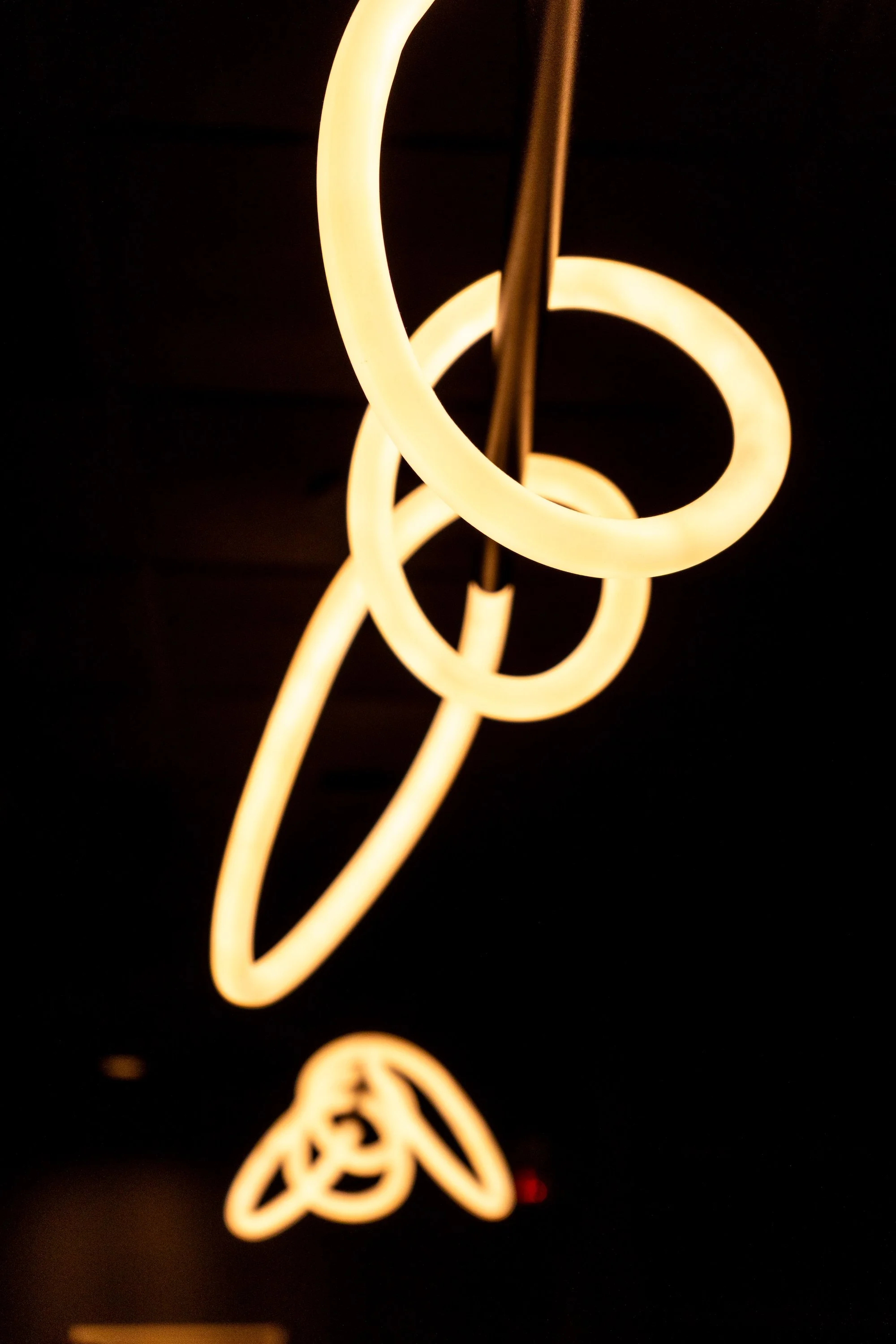 AFAV - Bowditch Development Day 2 - 10_28_25-124.jpeg