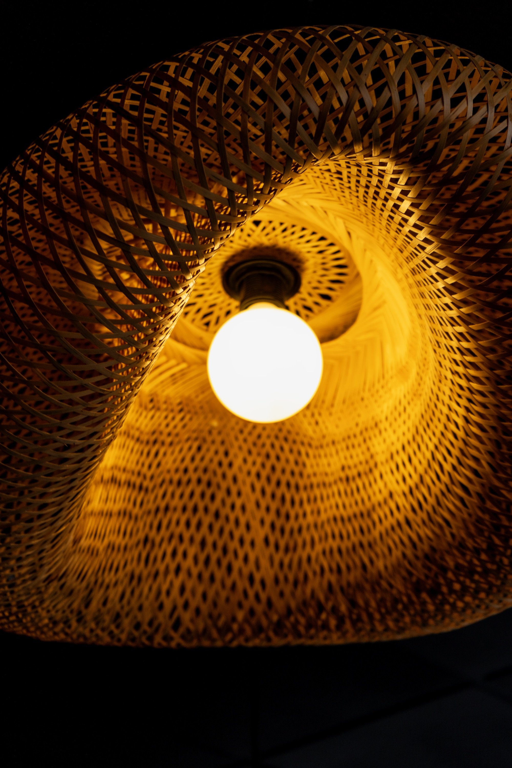 AFAV - Bowditch Development Day 2 - 10_28_25-119.jpeg