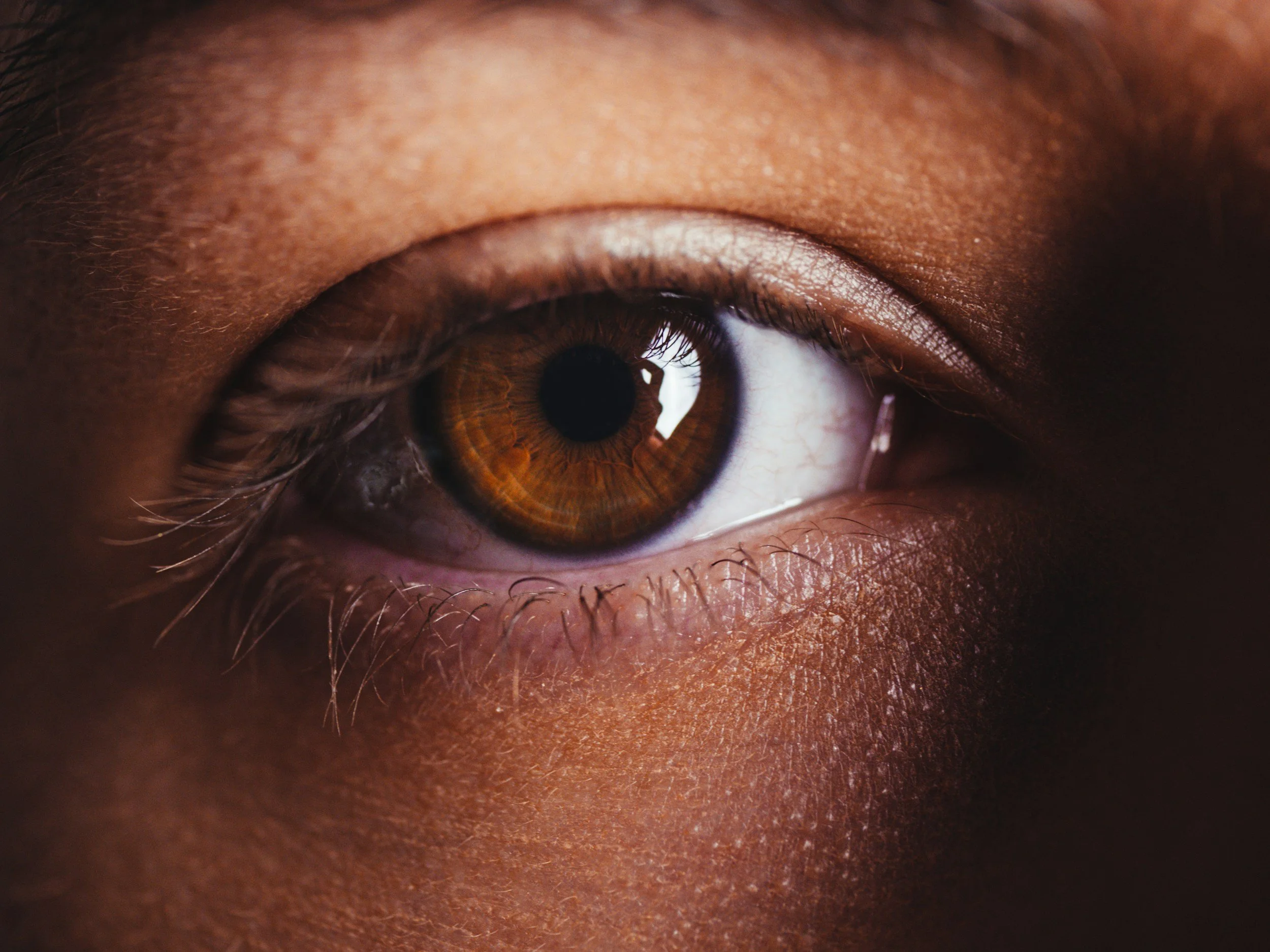 Close-up photograph of a person's eye