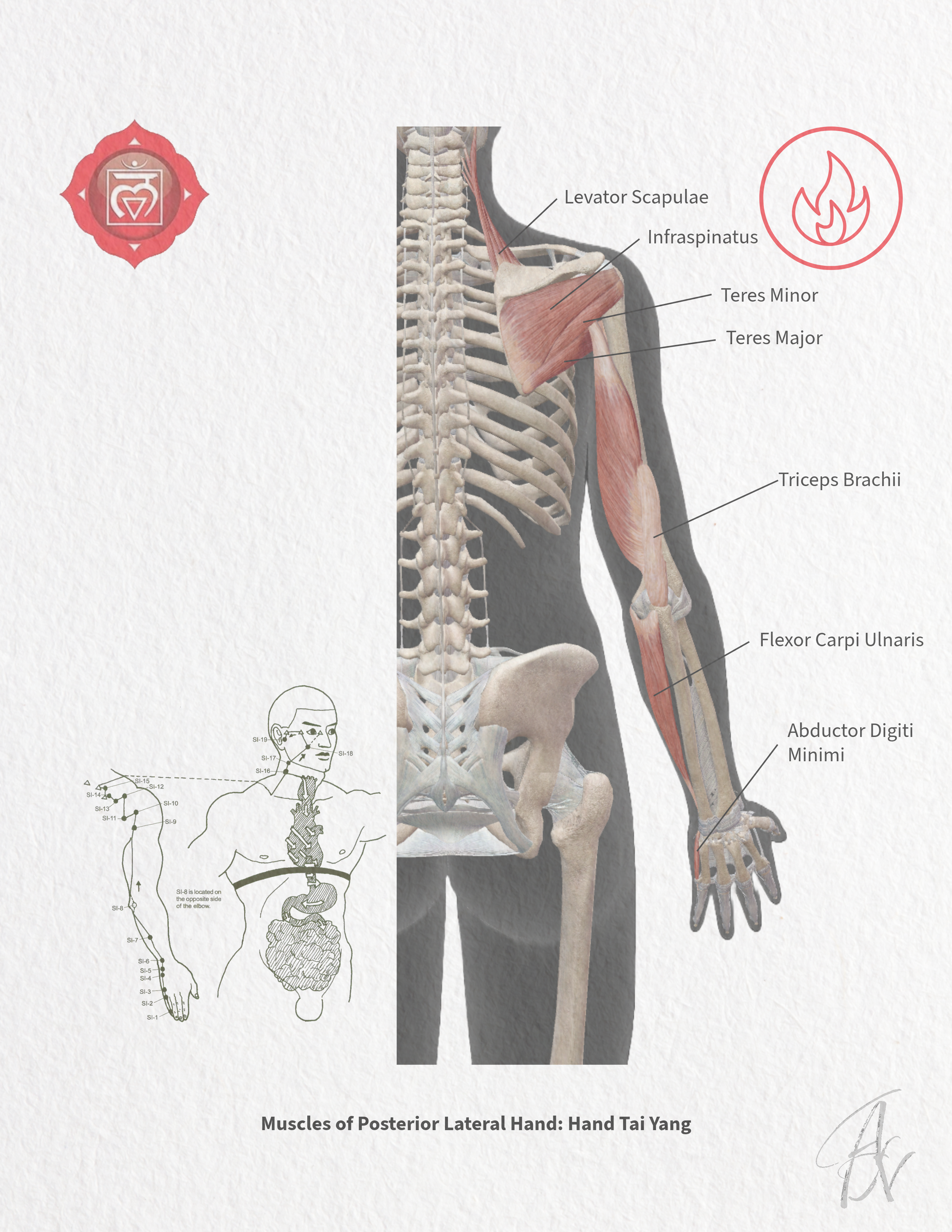 Channel Chakra-15.png