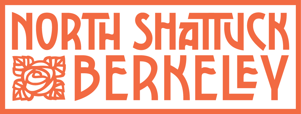 NSA Logo Final 3.png