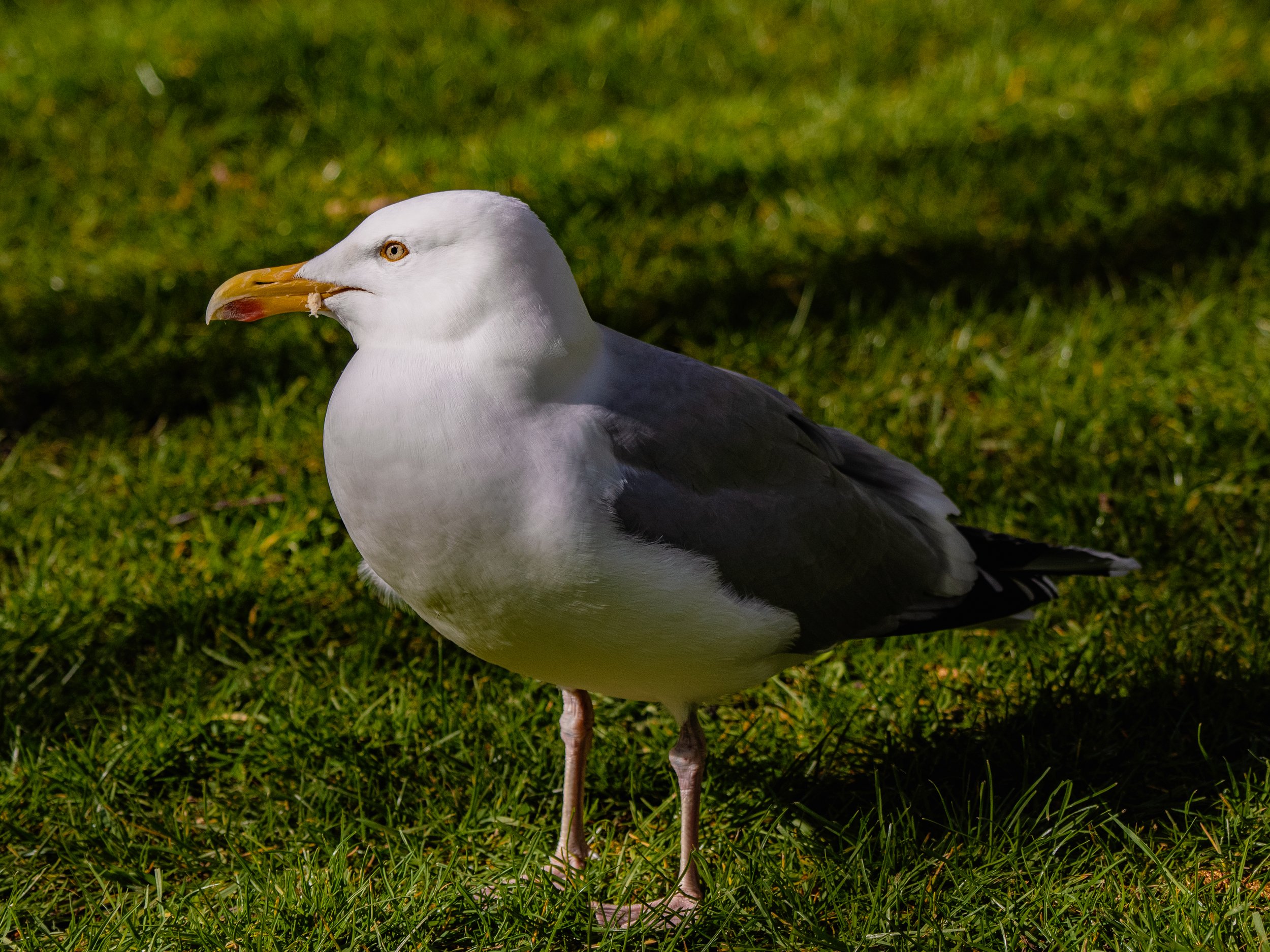 P4050477.jpg