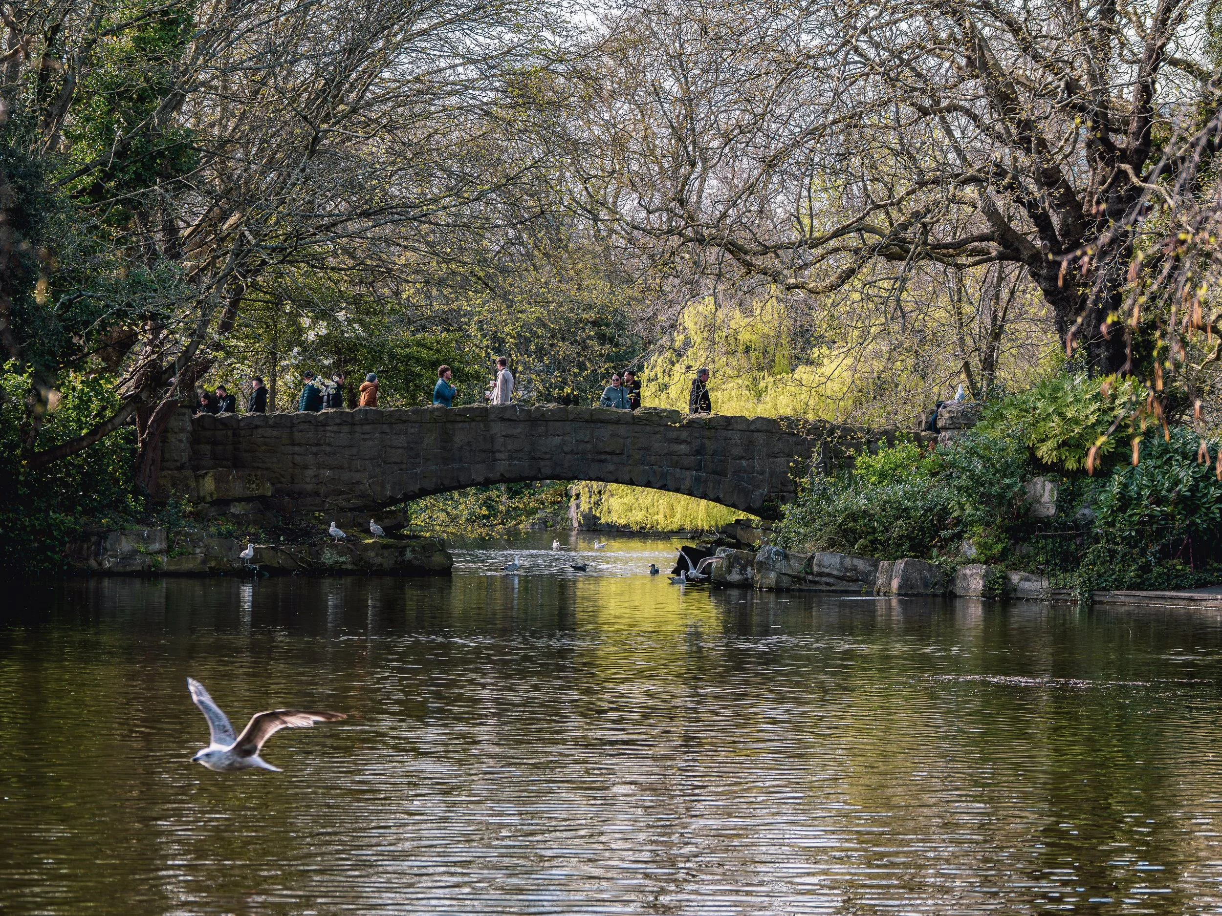 St. Stephen's Green