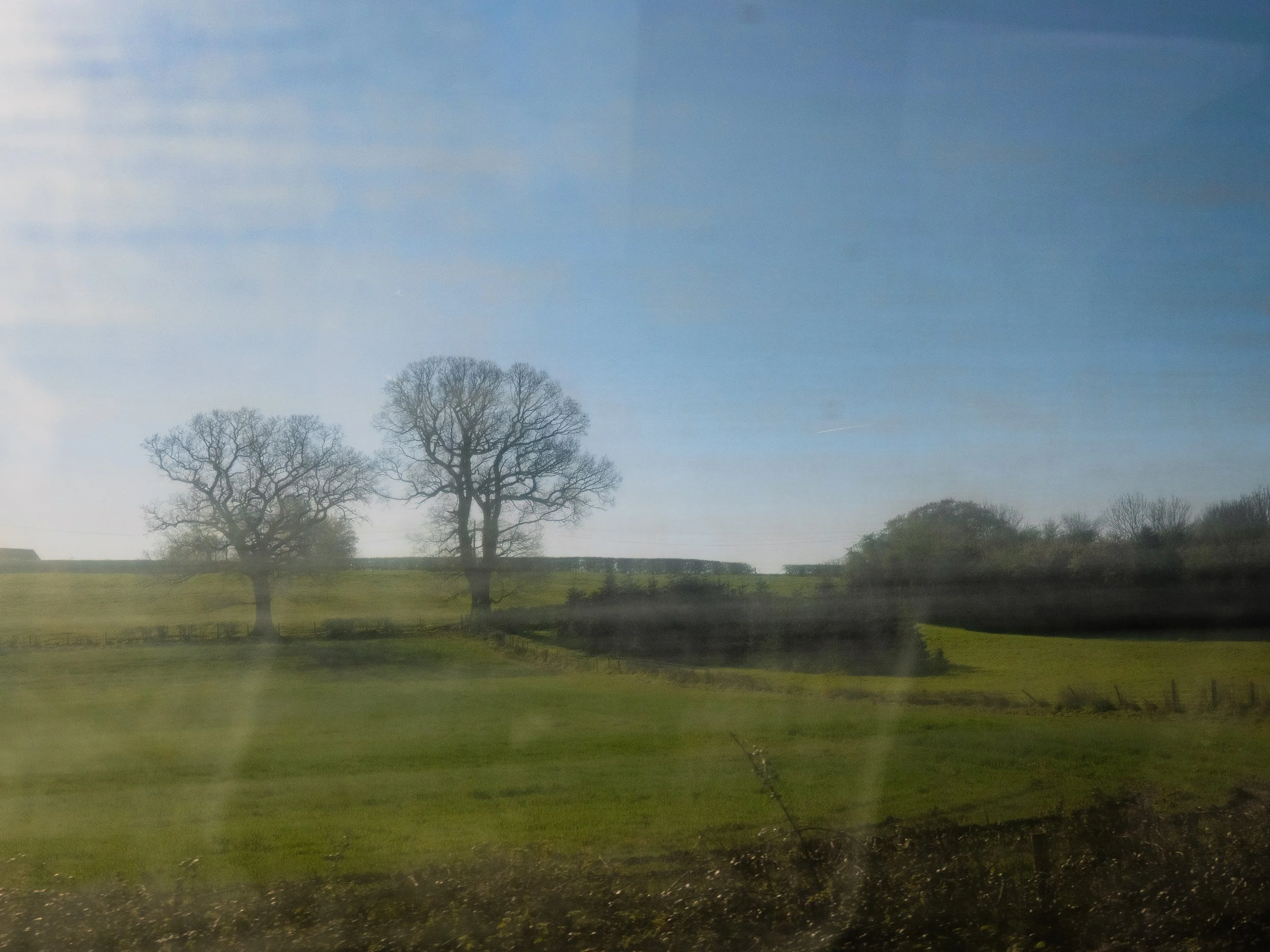 A view of the countryside from the train.