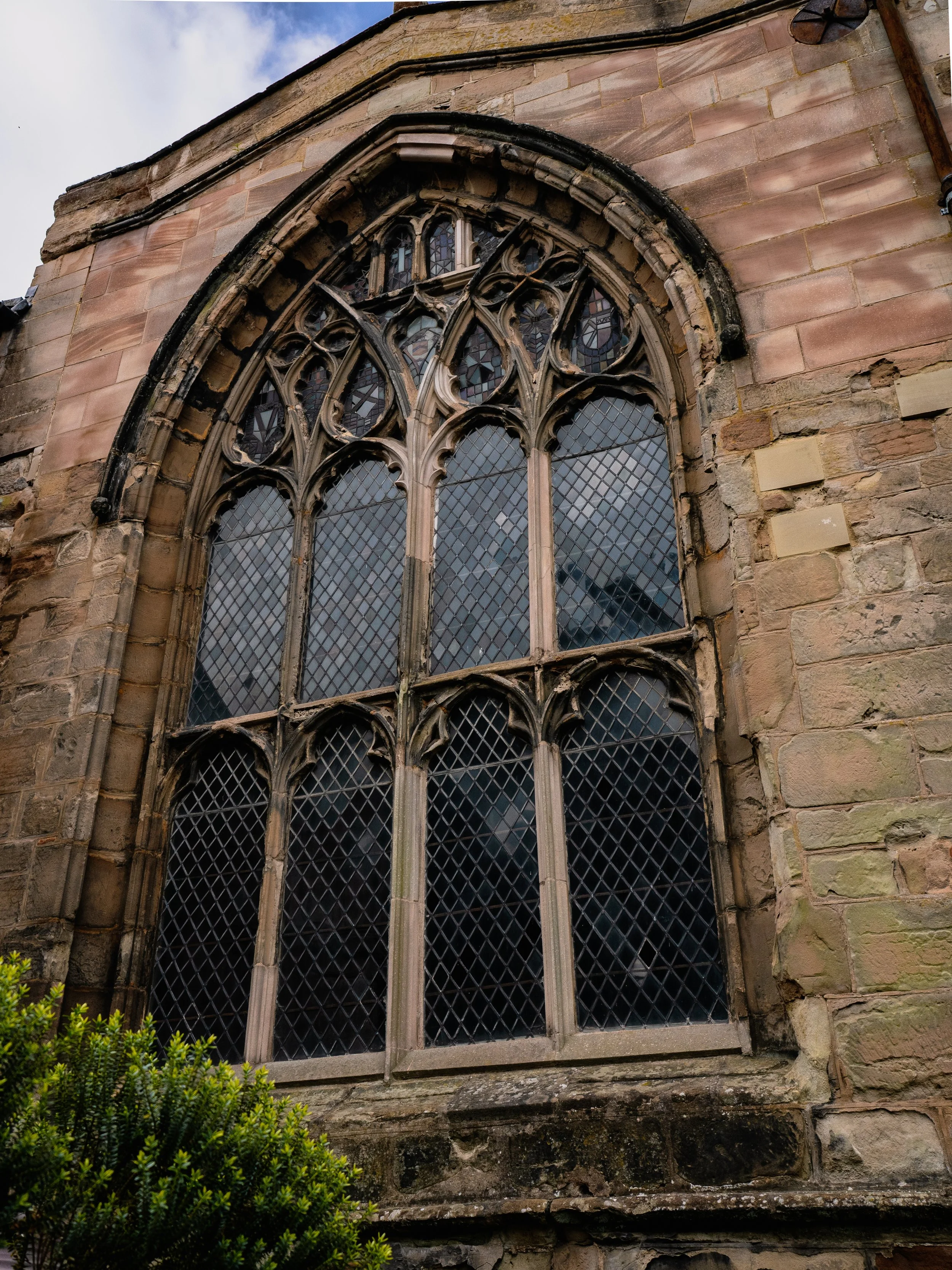 P5157545.jpg