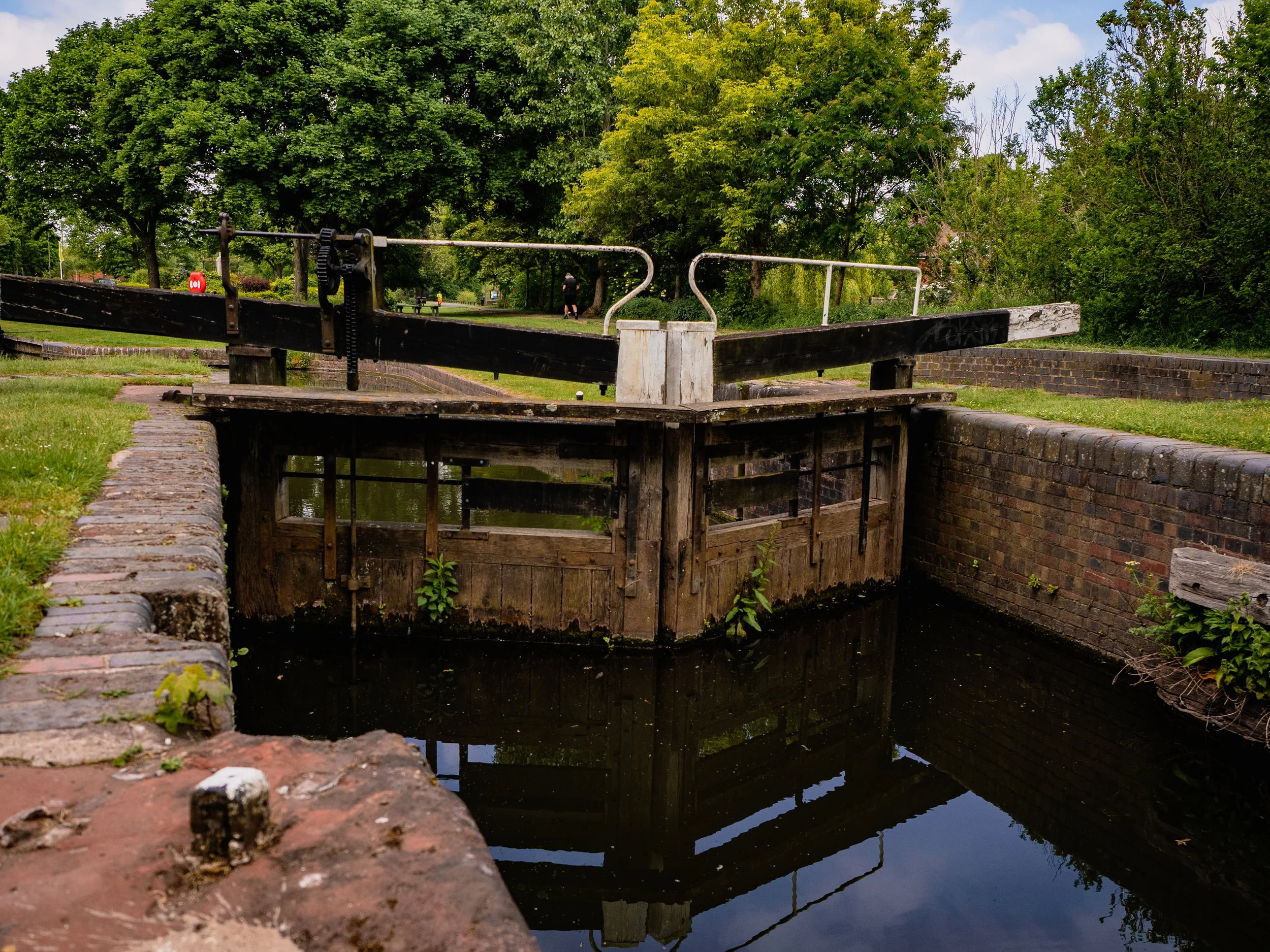 P5157558.jpg