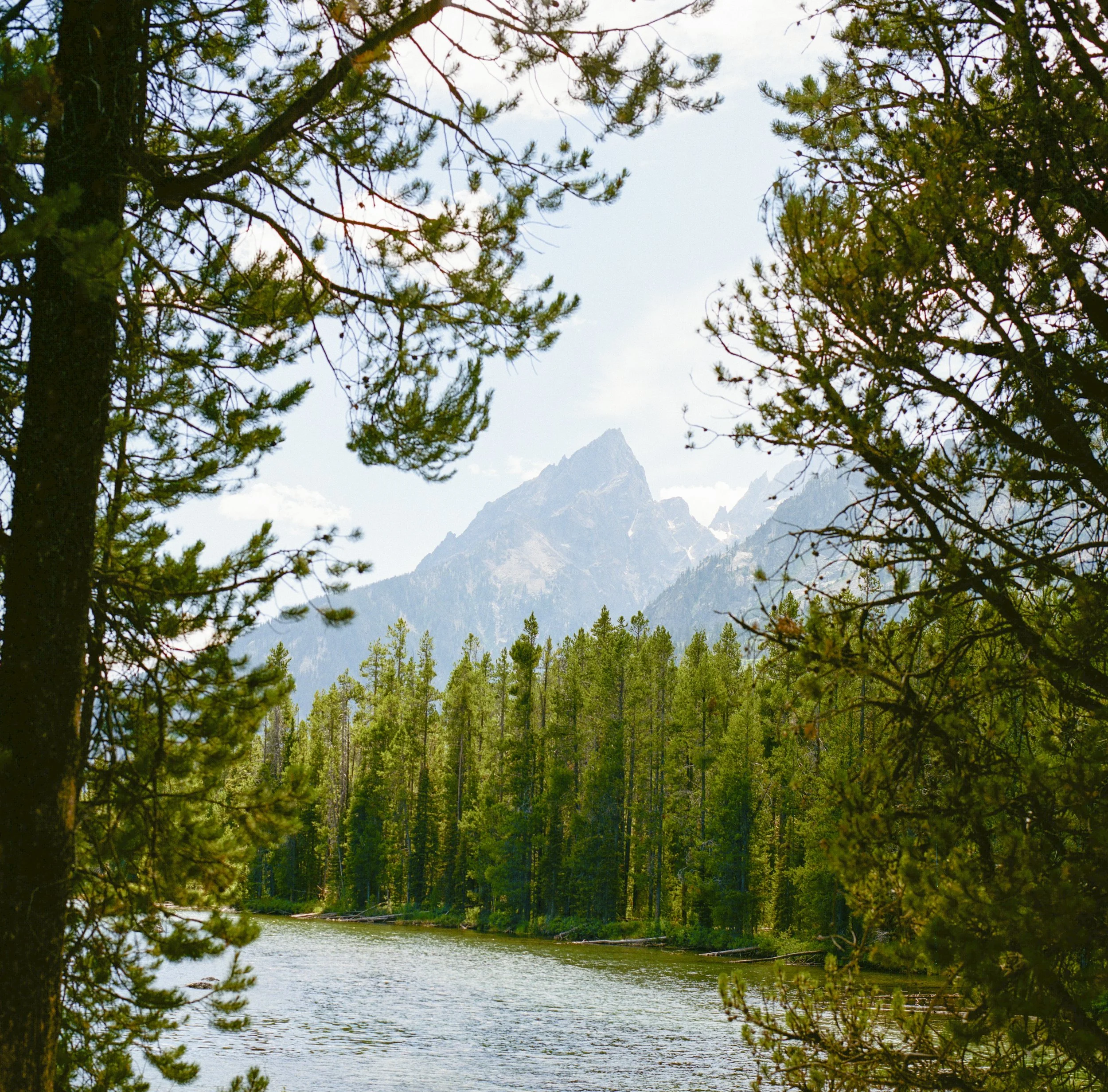 wyomingmediumformat-1-4 copy.jpg