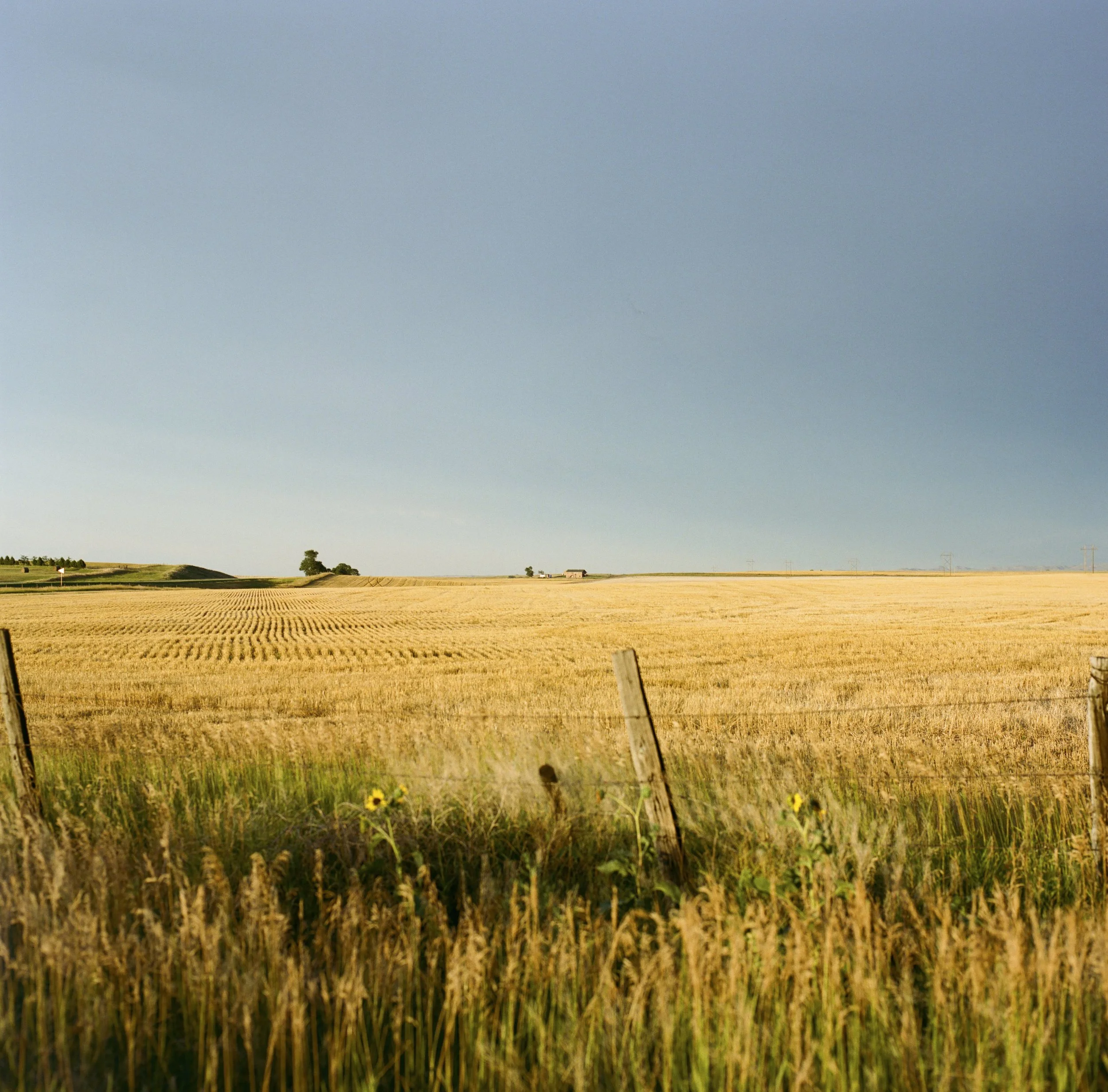 wyomingmediumformat-5 copy.jpg