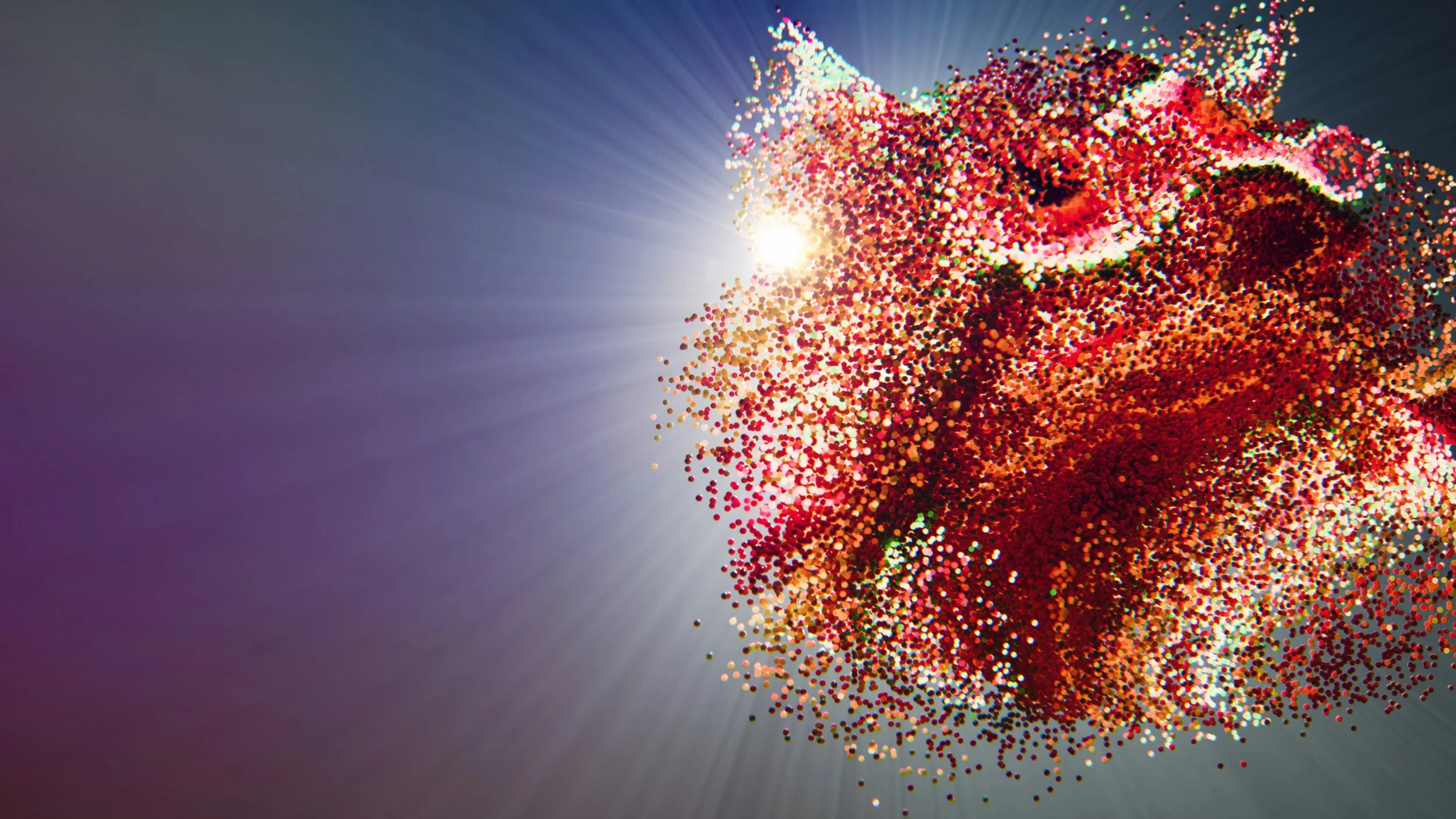 Business Model Business Plan