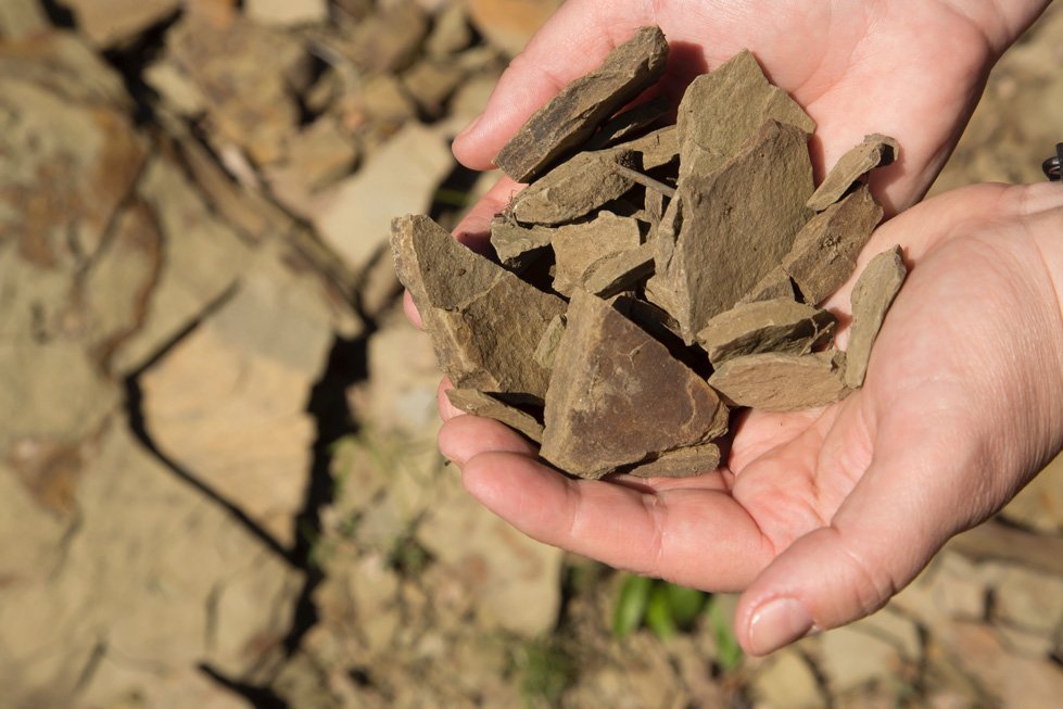 The influence of climate and soil on Chianti Classico