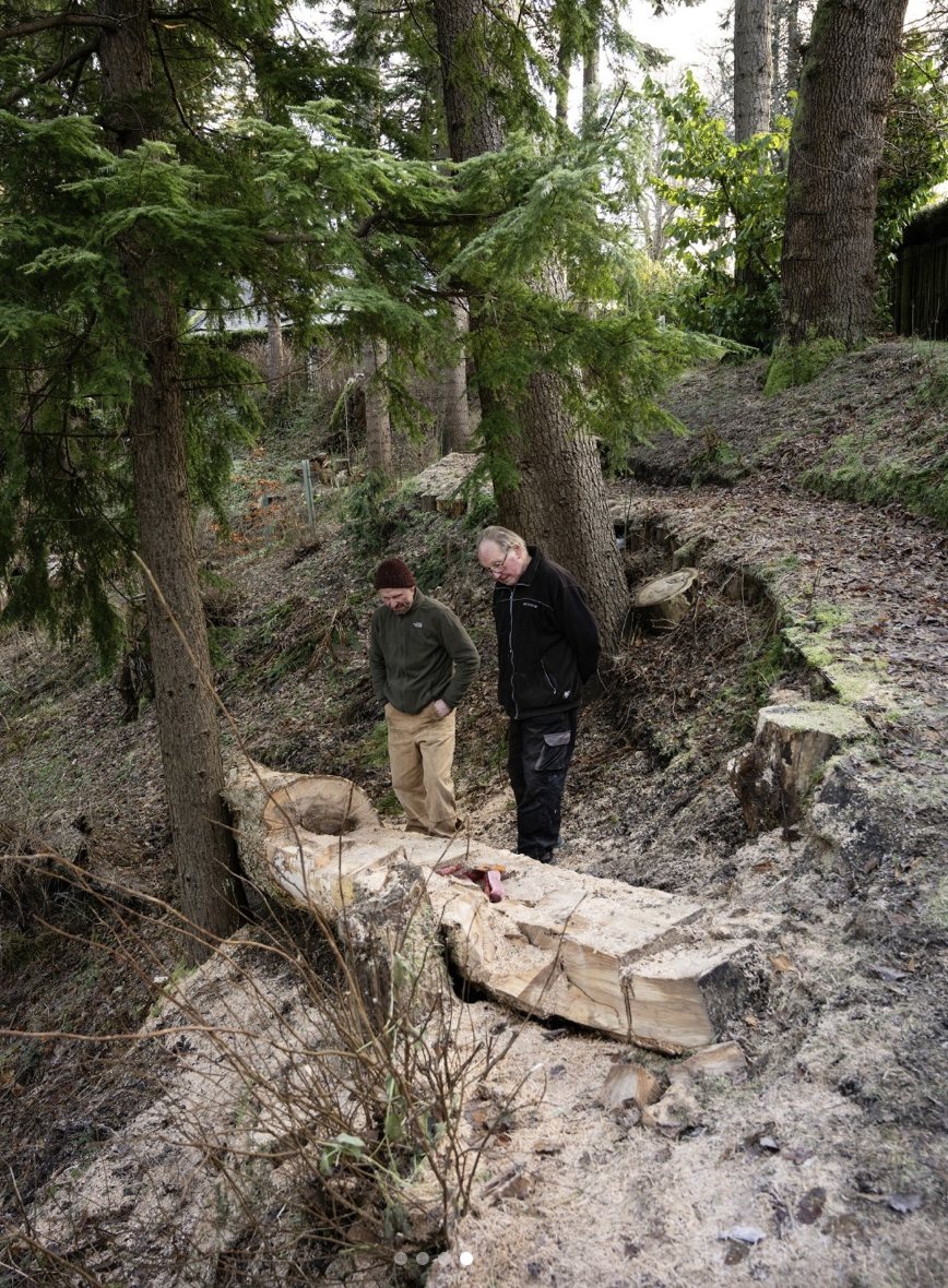 Screenshot 2025-05-06 at 14.46.46 (1).png