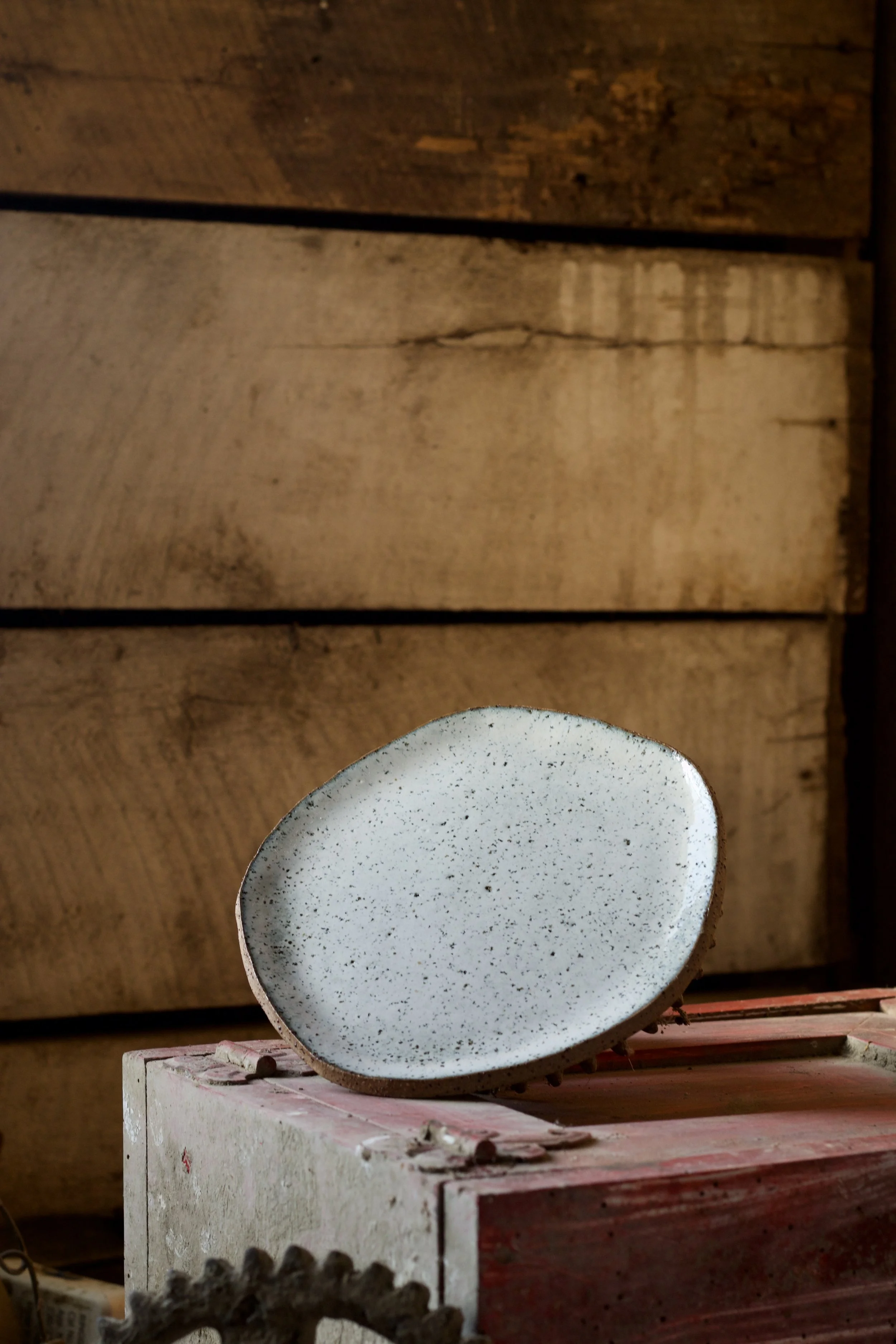 Canon EOS 80D_20251209_173800.jpg