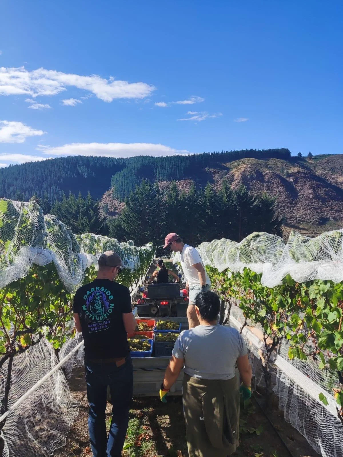 cREW chardy 2024.jpg