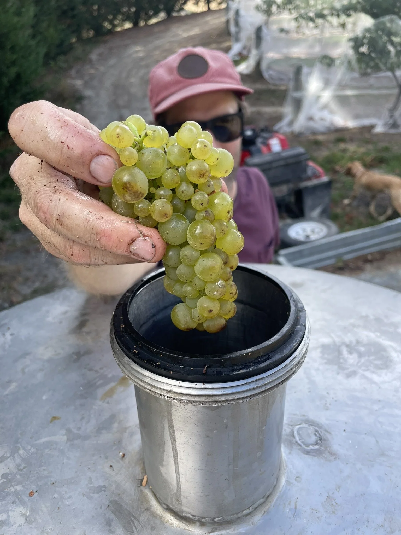 Carbonic into tank.JPEG