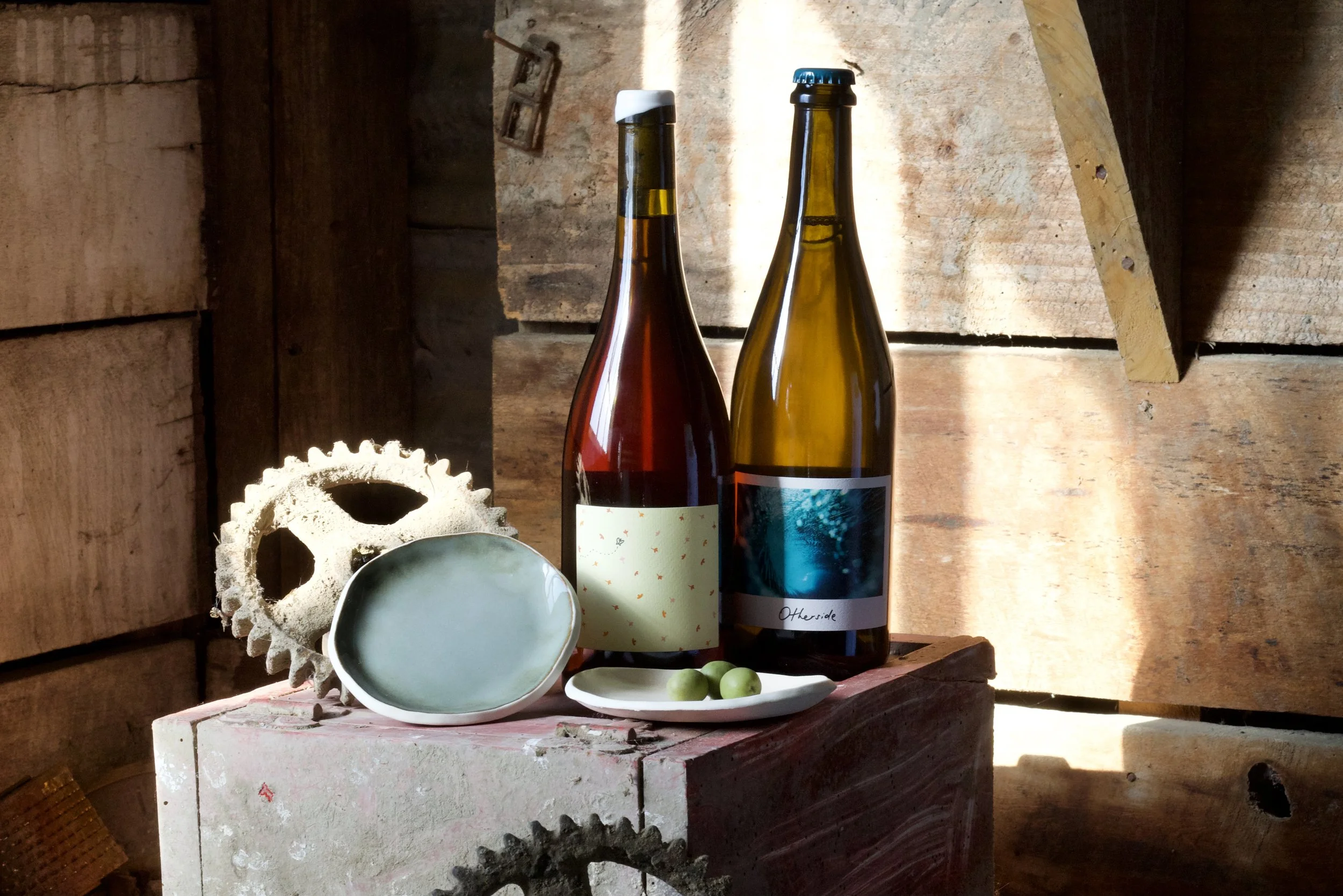 Canon EOS 80D_20251209_164010.jpg