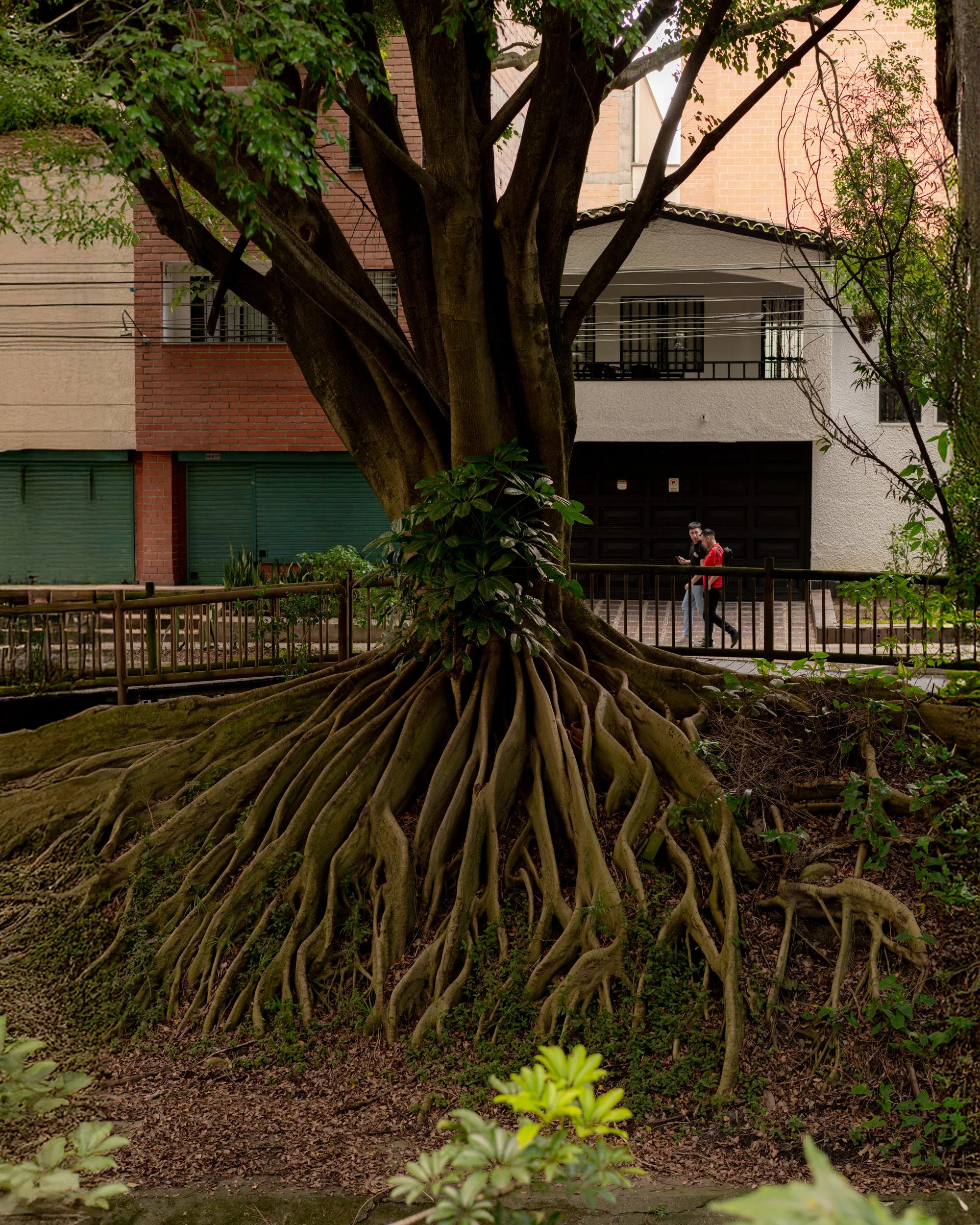 Medellín