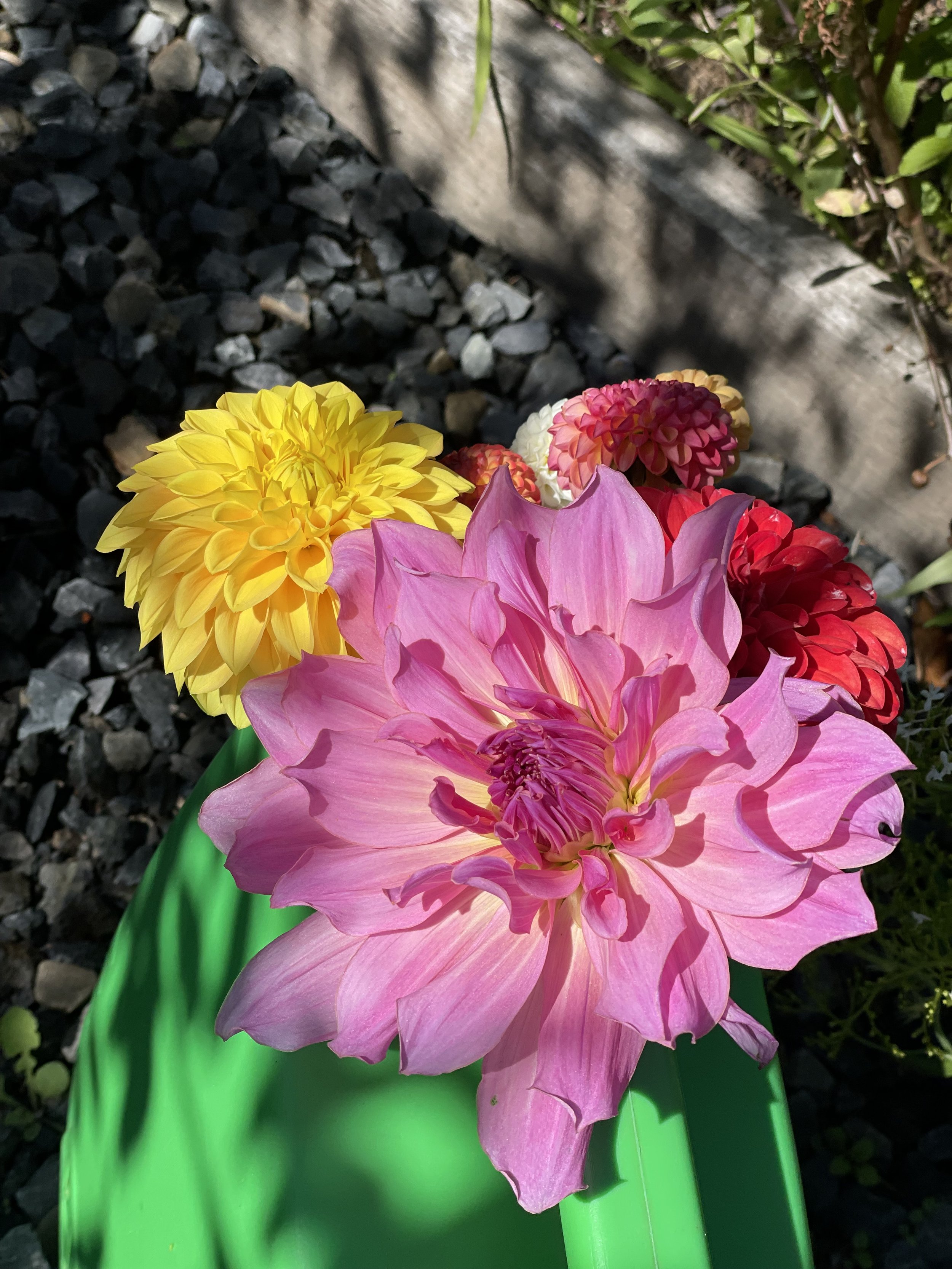 IMG_8597.jpeg