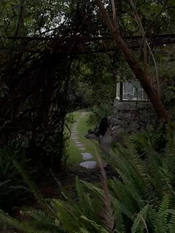 Mini pr&aacute;ctica para sintonizar, co-regular y cultivar chi con la naturaleza. 

Si&eacute;ntate frente a una planta, plantas en casa, jard&iacute;n o parque. Cierra los ojos, comienza a visualizar un intercambio entre t&uacute; y esta utilizando