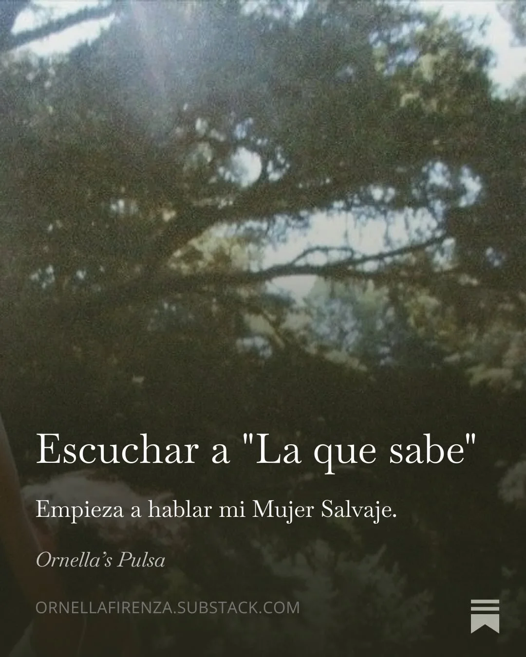 I write for the same reason I draw, move, dance: as an expression of my creativity, as an exploration of my personal mythology.

I write the way I speak. There are mistakes, but what matters most is that the voice of my heart and my experiences is pr