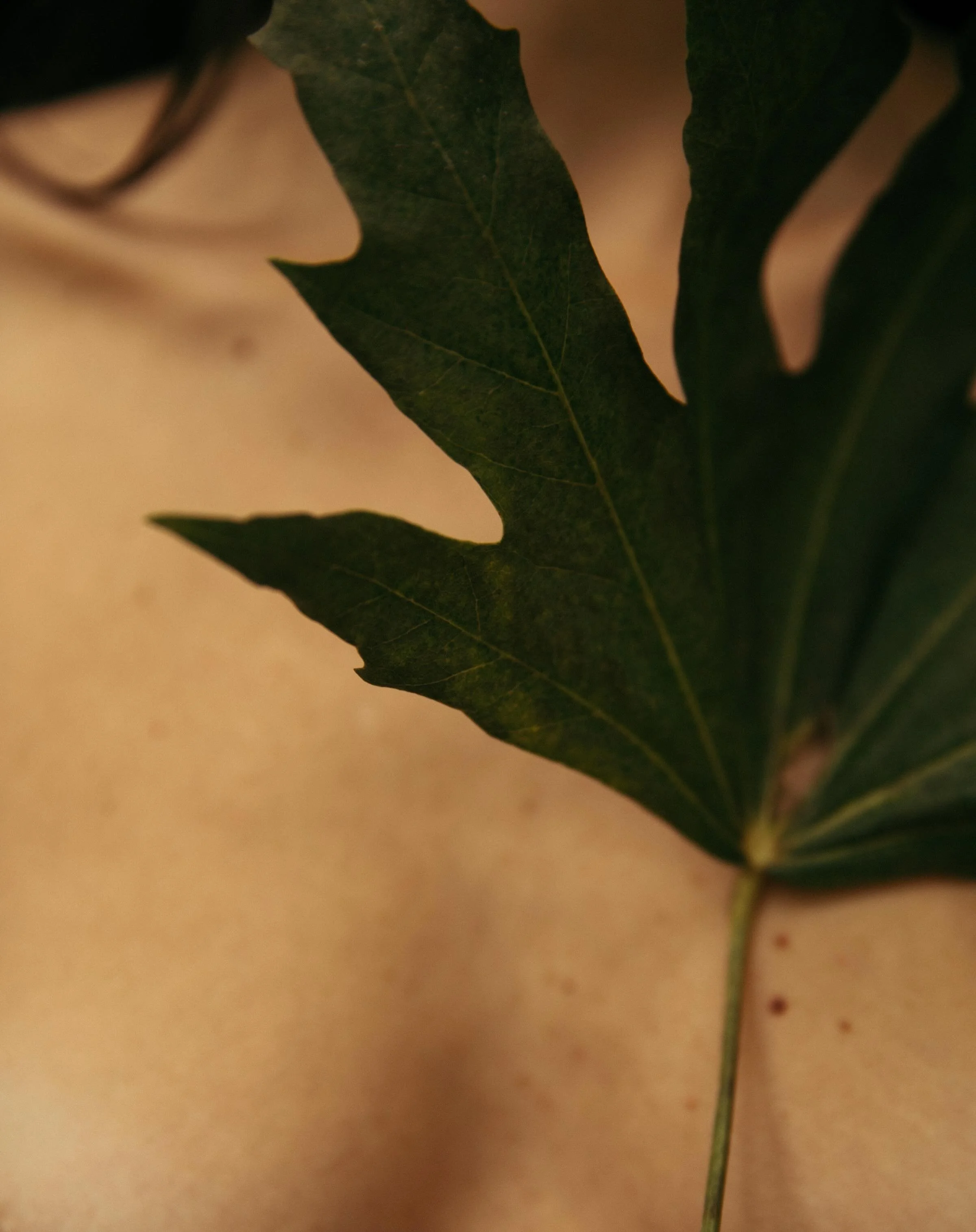 M A T E R R A &Iacute; Z.
Hoy, este a&ntilde;o espec&iacute;ficamente, no est&aacute; siendo f&aacute;cil para m&iacute;.
Sent&iacute; importante darle lugar en mi Pulsa a la maternidad como la siento latiendo en mi: vulnerable, extra&ntilde;a, dolor
