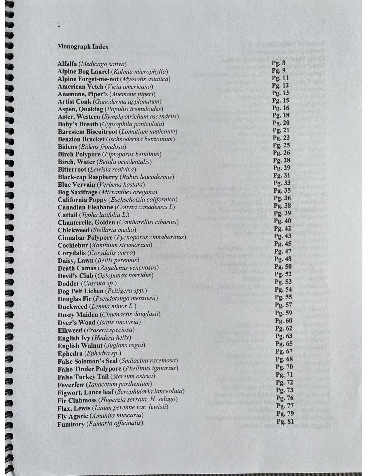 Mono2contents1.jpg