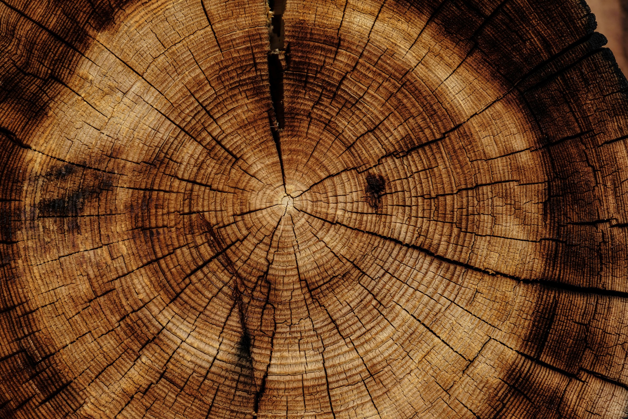Finding Your Center: Building Your Inner Home