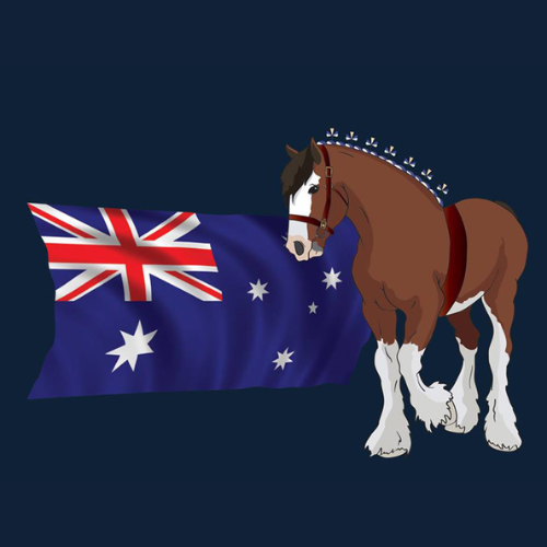 Heavy Horse Festival