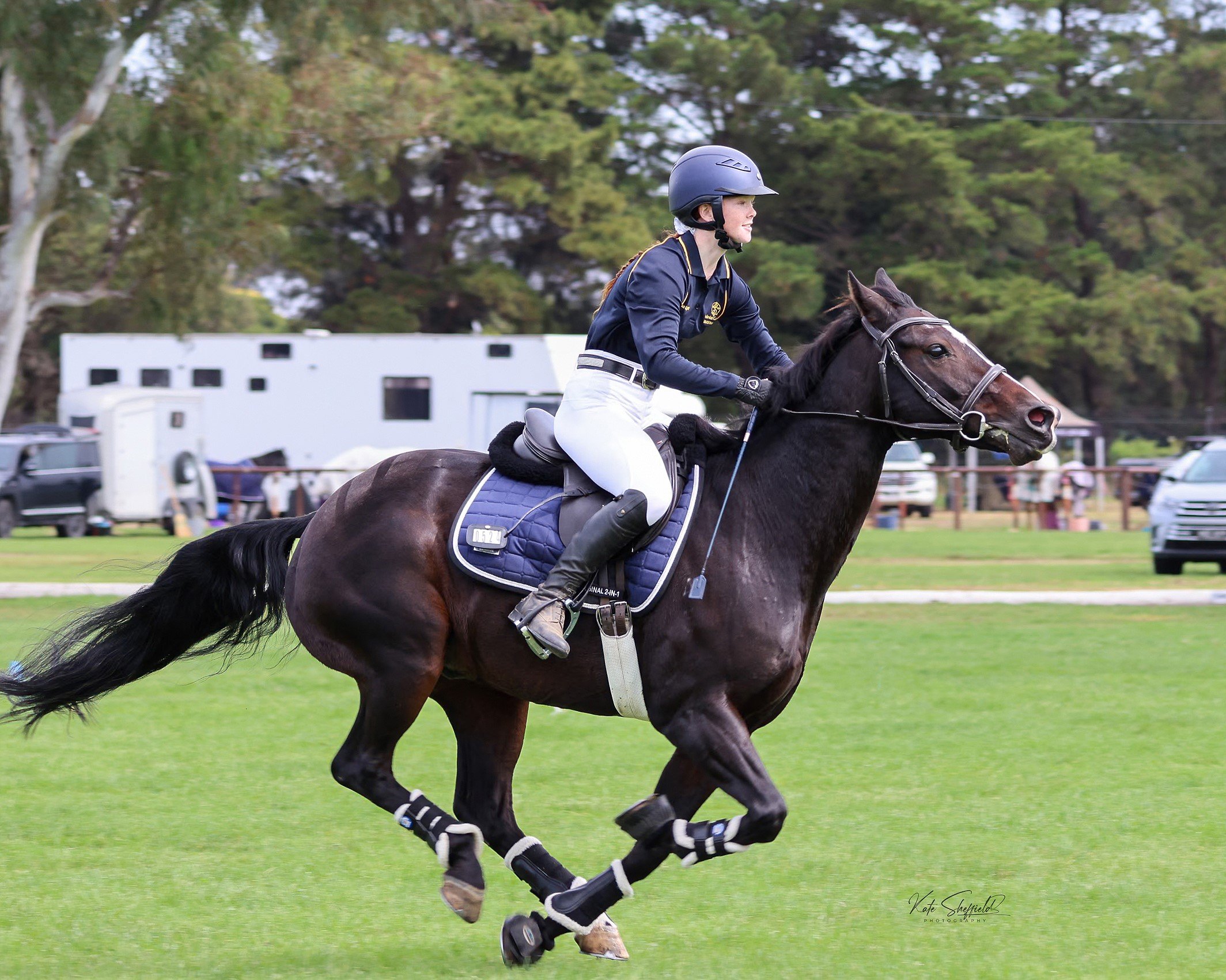 A female equestrian rider wearing a helmet and riding attire, riding a dark brown horse with black mane and tail, on a green field during an outdoor event, with trees and vehicles in the background.