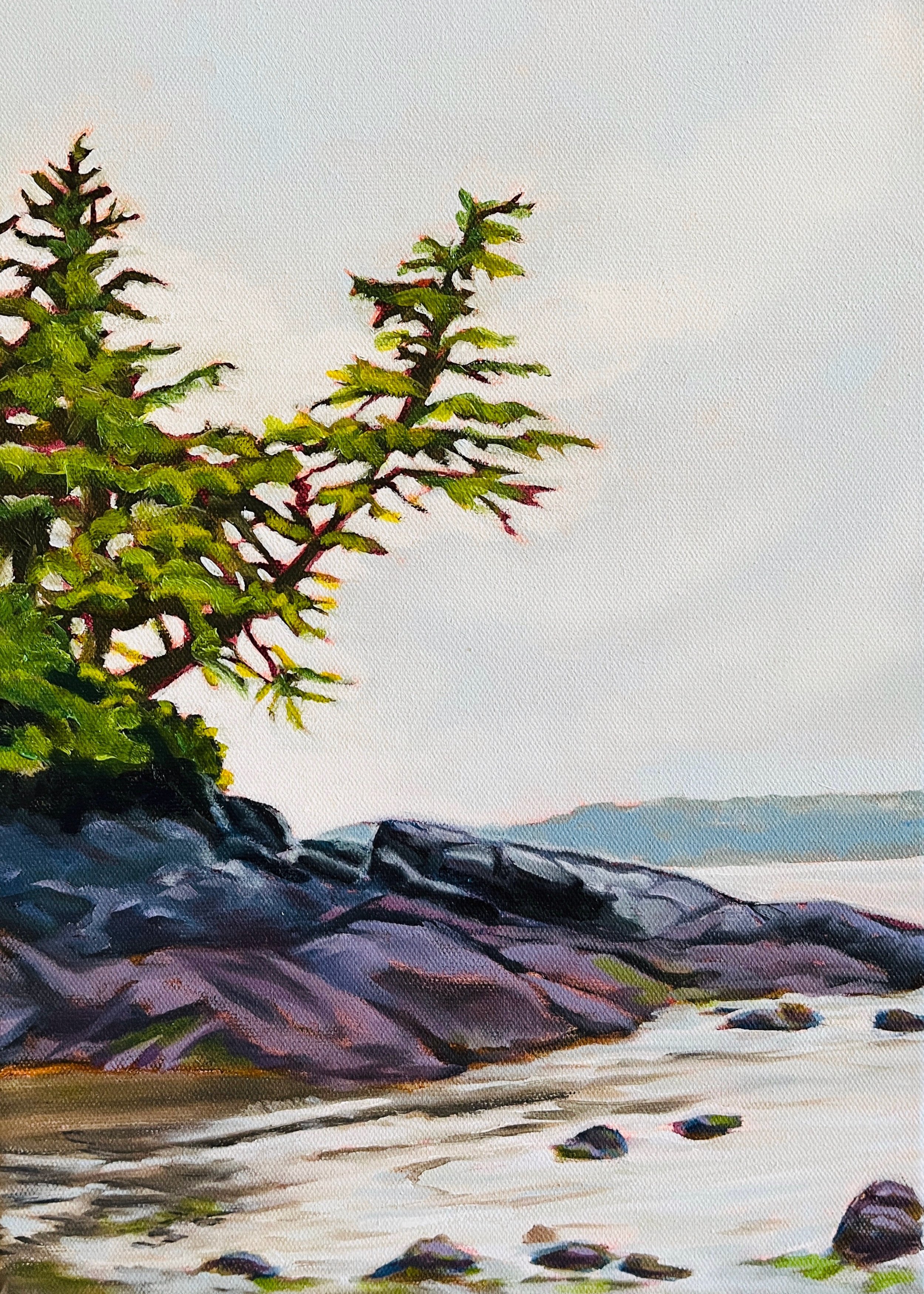 beach-tree-lee-erikson.jpeg