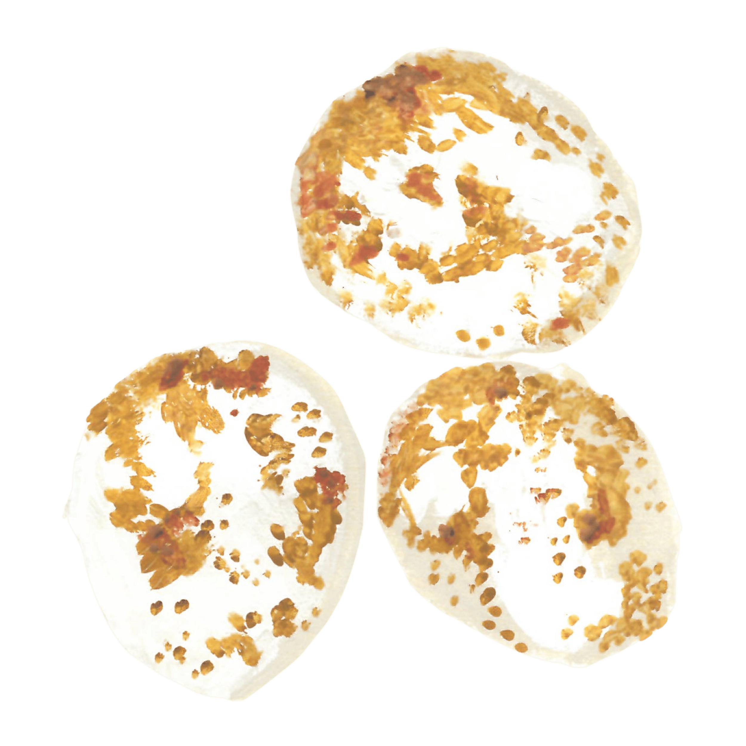 Three toasted bagel halves with cream cheese and smoked salmon topping, viewed from above.