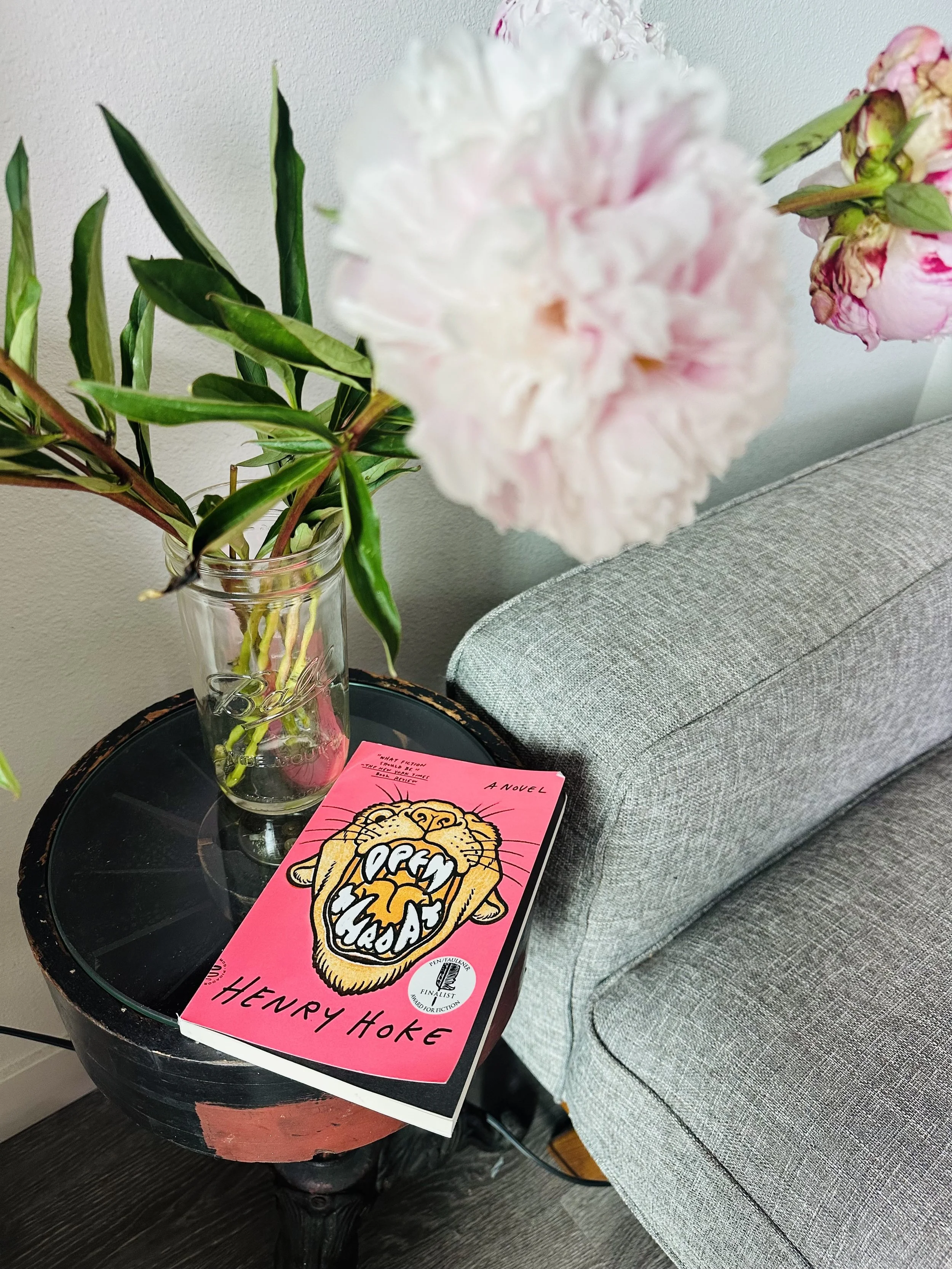 The pink paperback with a yellow cartoon mountain lion's face open showing the books title as its teeth sits on a small table beside a vase of peonies adjacent a gray sofa