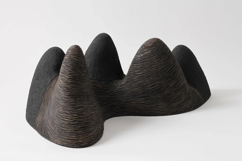 5c.+‘Shadow+Fall+10’,+2023,+ceramic,+by+Robyn+Campbell,+H17+x+W54+x+D29+cm.webp