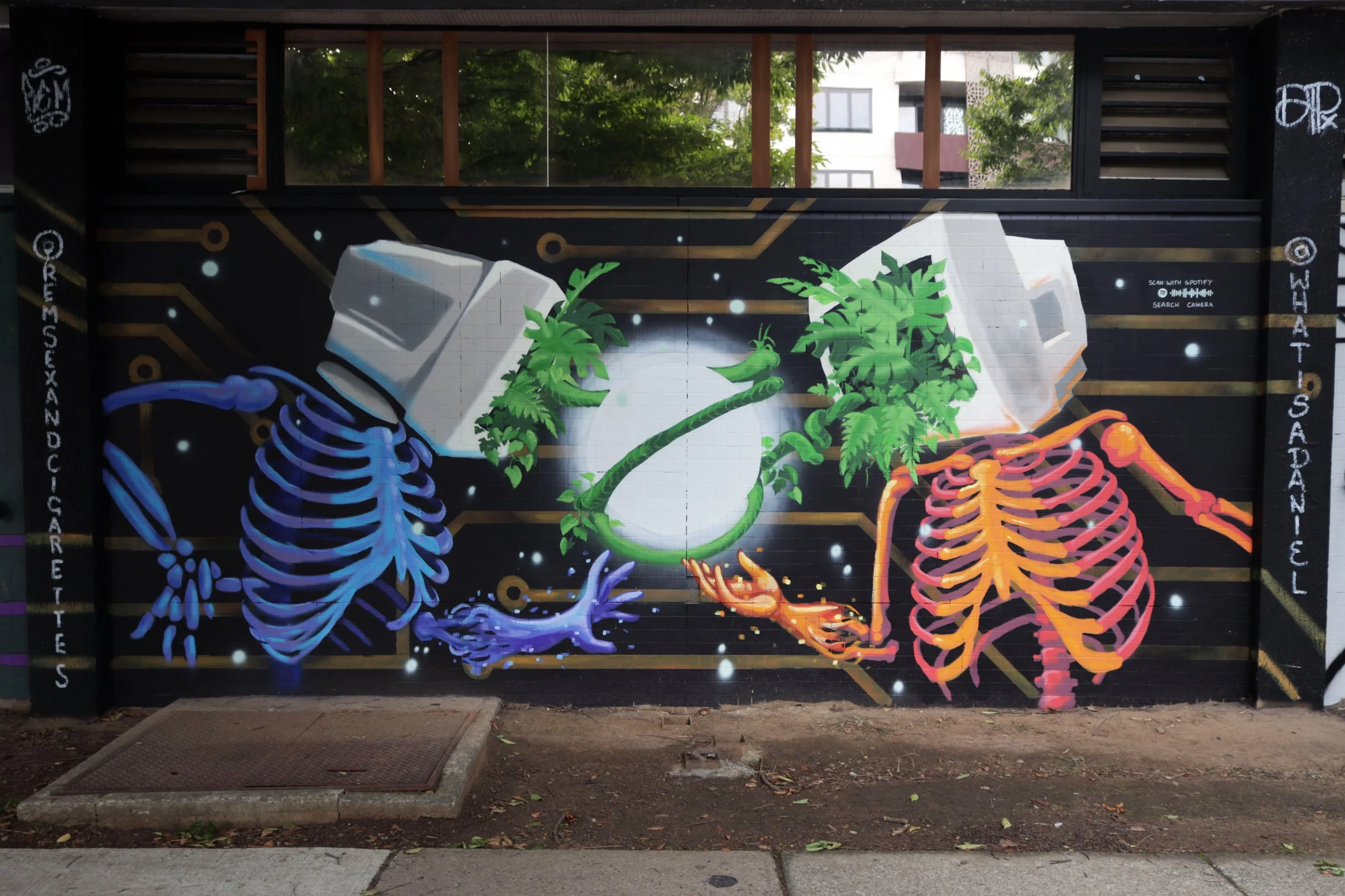 Braddon Mural Magic | A Walk Through Creative Corners