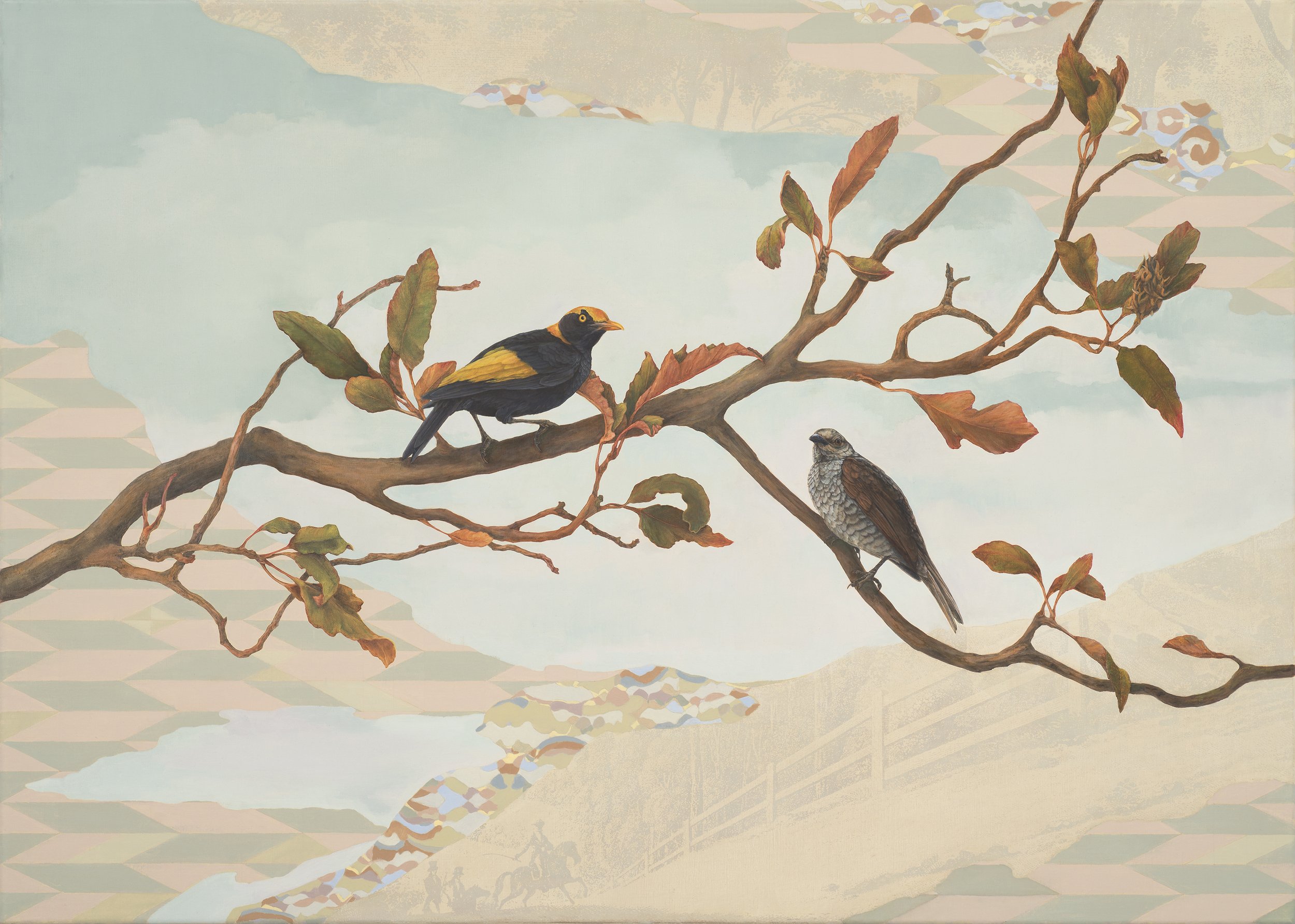 Nicola-Dickson-Encounter-Regent-Bowerbirds-Coxs-Pass-New-South-Wales.jpg