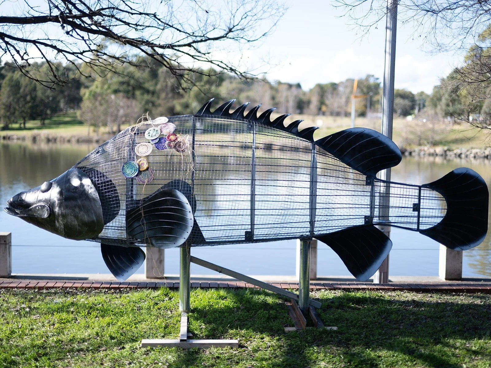 Weaving Waters | Mangi the Murray Cod&nbsp;