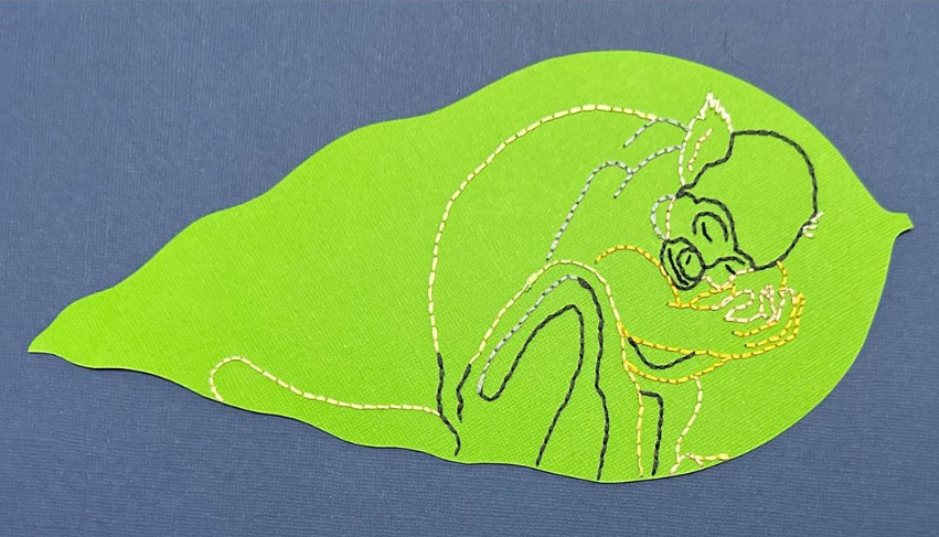 Screenshot 2024-07-25 142254.png